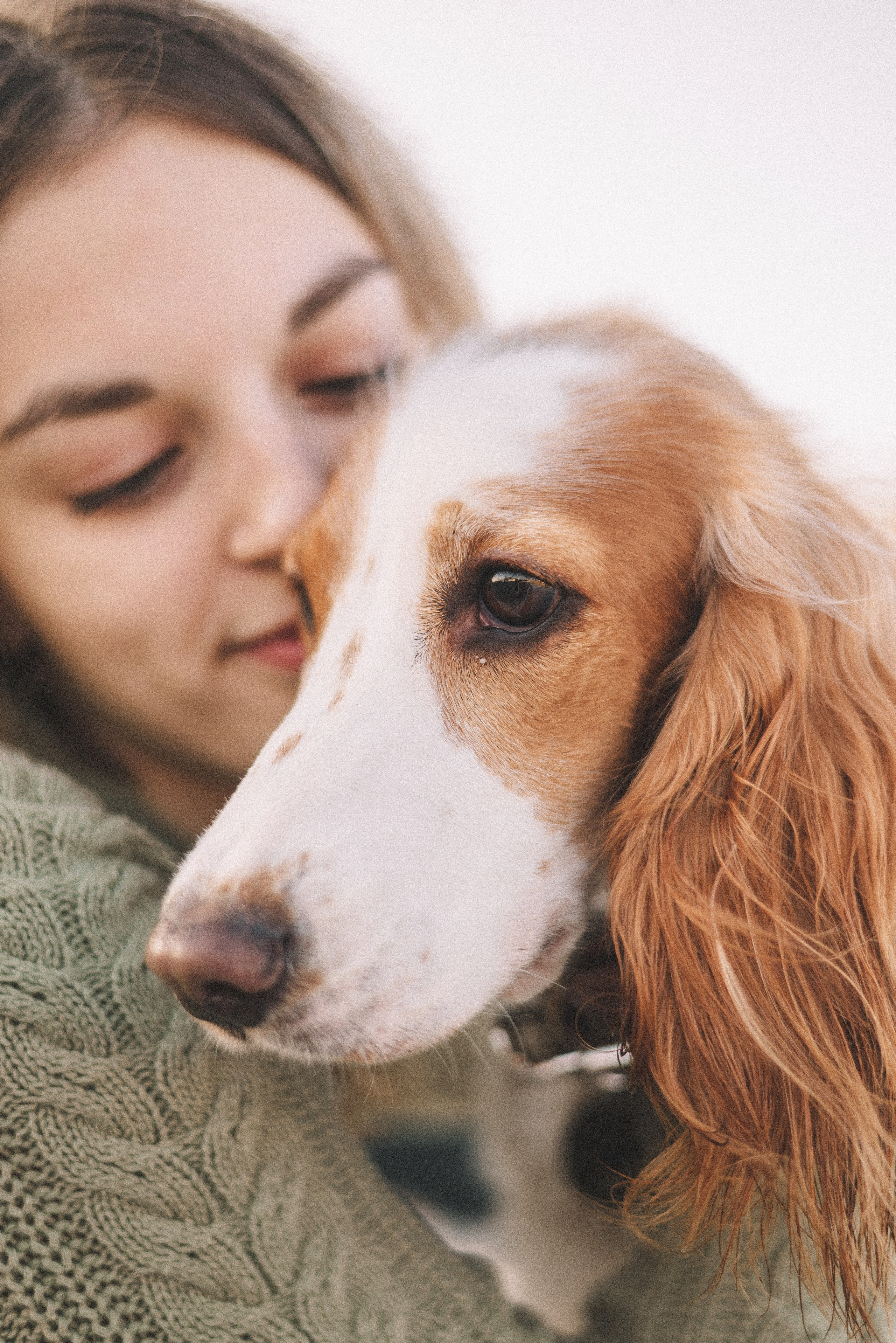 Маша и Вега. Фотограф-анималист Богданова Полина