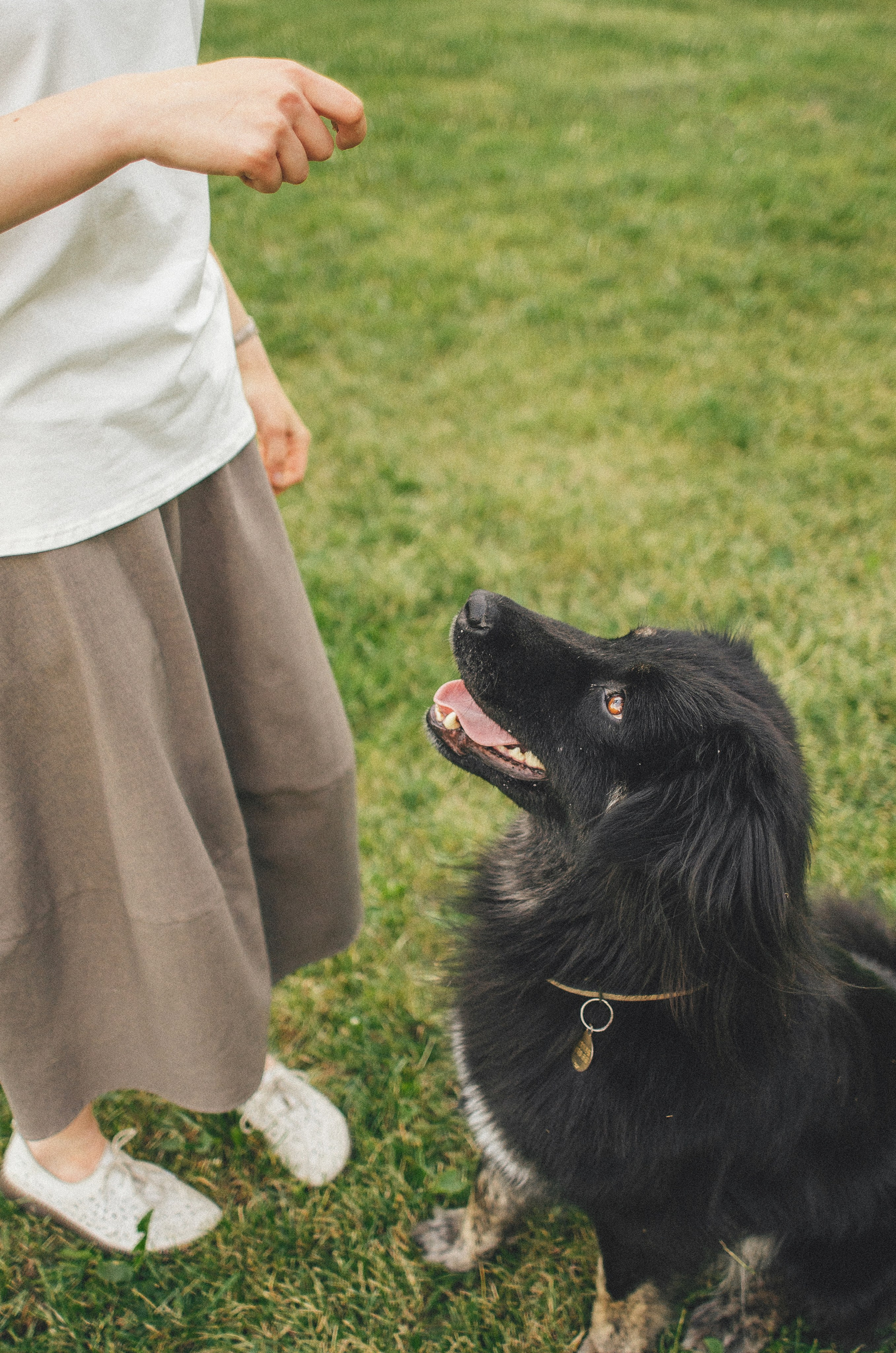 Анна и Марко. Фотограф-анималист Богданова Полина