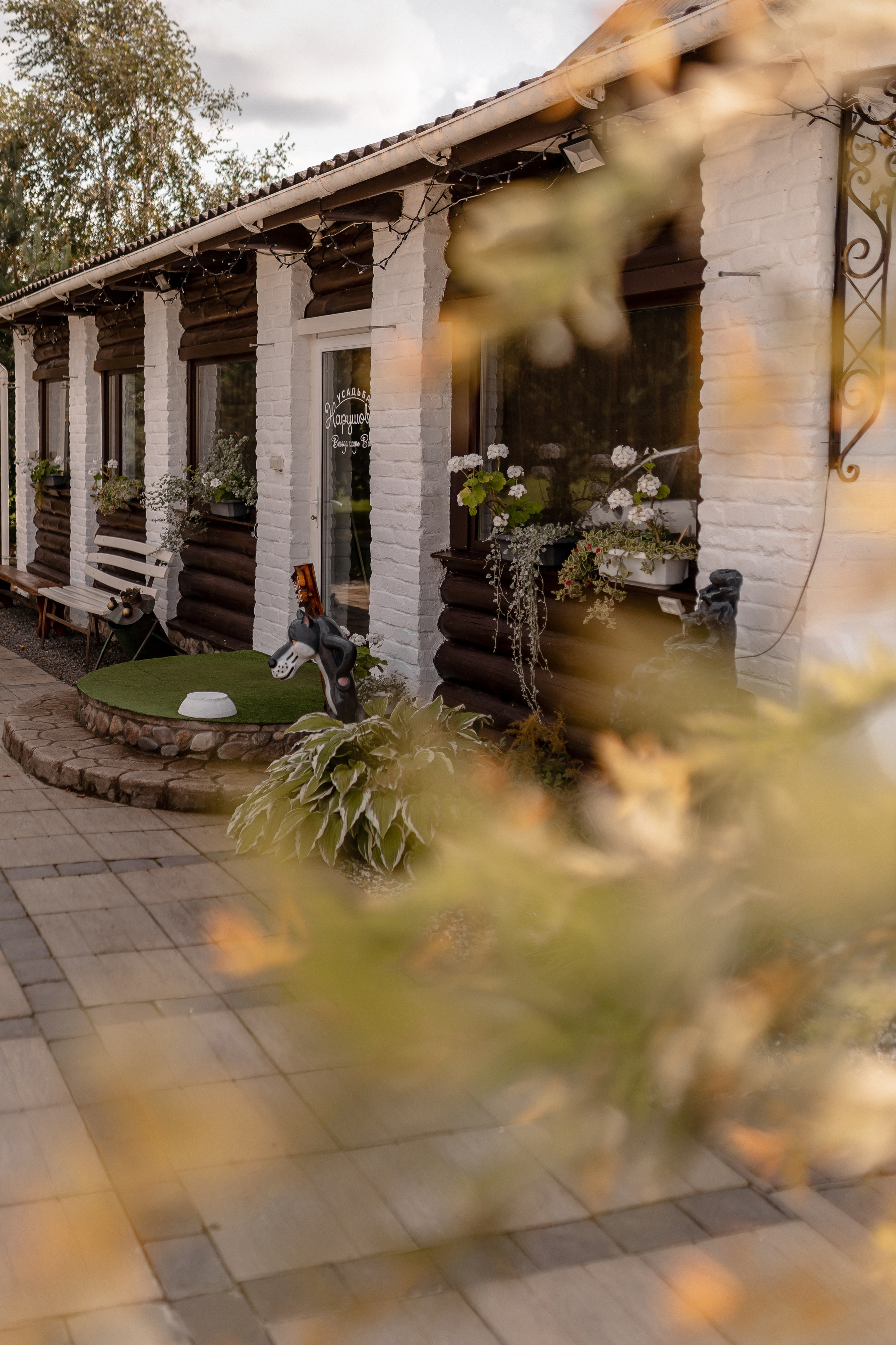 Дарина и Ярослав. Свадебный фотограф Елена Ловцевич