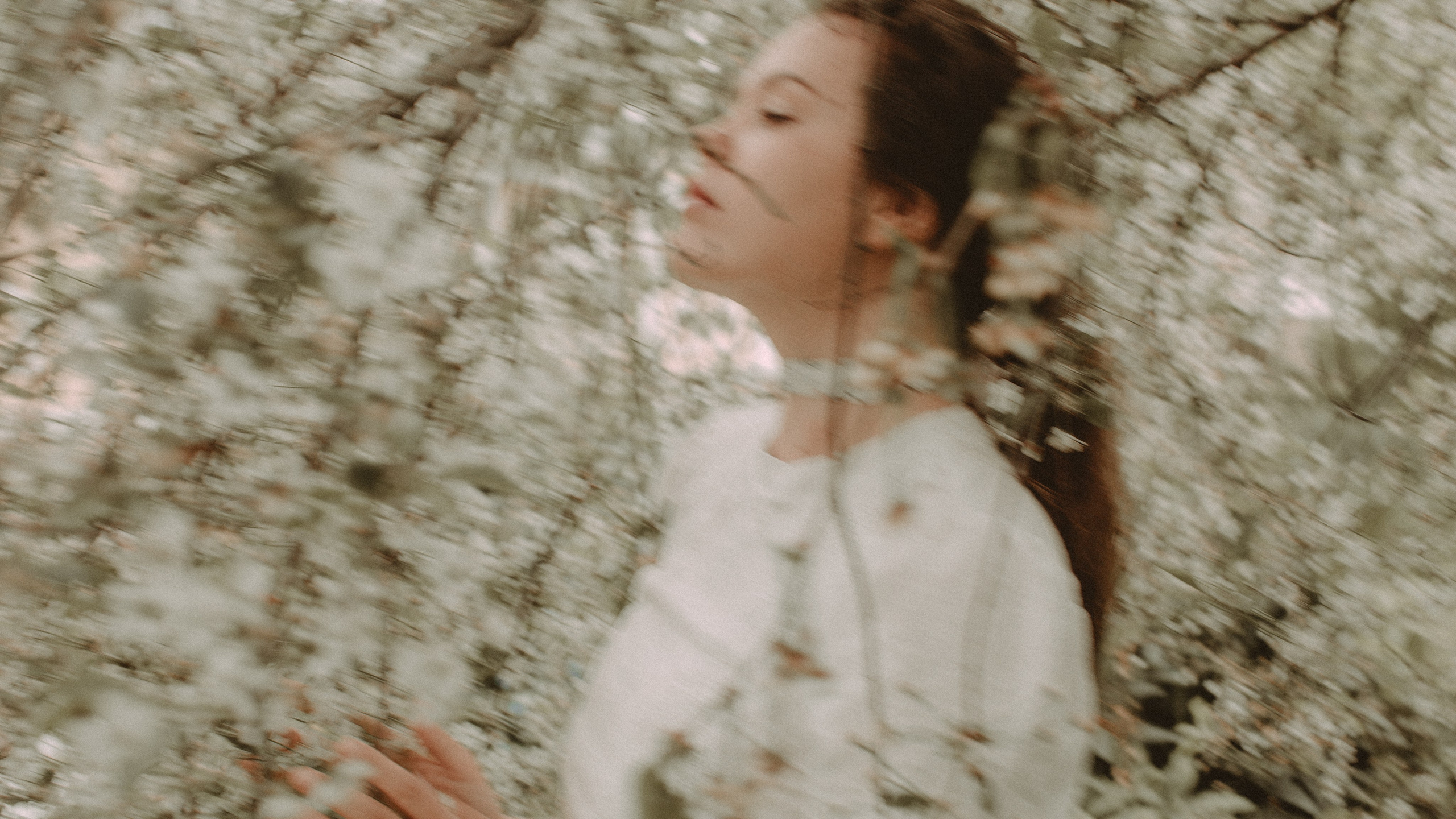 Девушка в цветах вишни. Свадебный и репортажный фотограф в Ярославле и Санкт-Петербурге Роман Микрюков