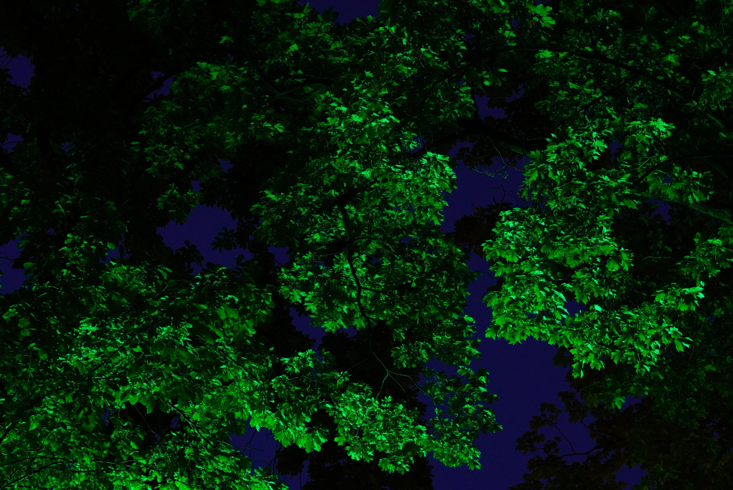 Spb Night. ФОТОГРАФ РАДОСТИ Фотосессия в студии СПб. Портретный фотограф — Юрий Торлопов