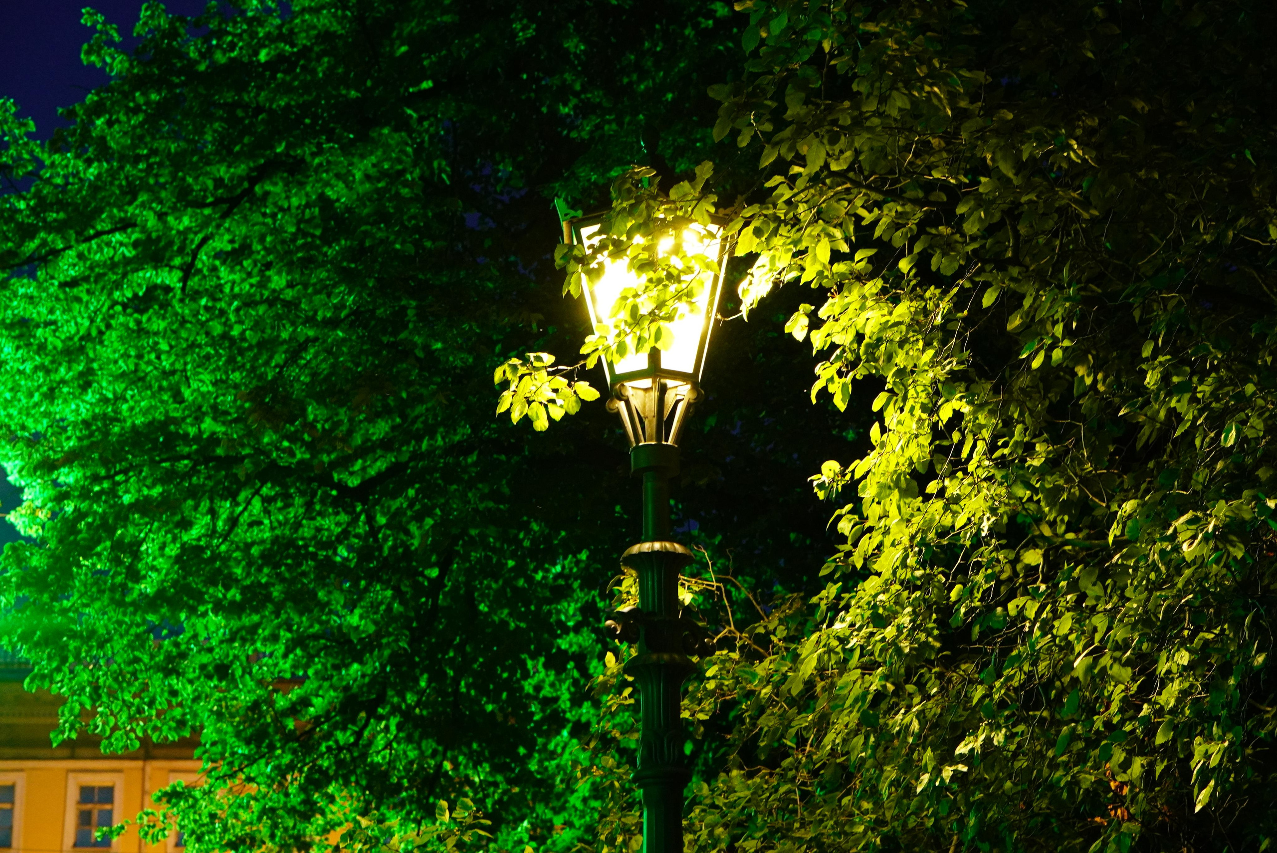 Spb Night. ФОТОГРАФ РАДОСТИ Фотосессия в студии СПб. Портретный фотограф — Юрий Торлопов