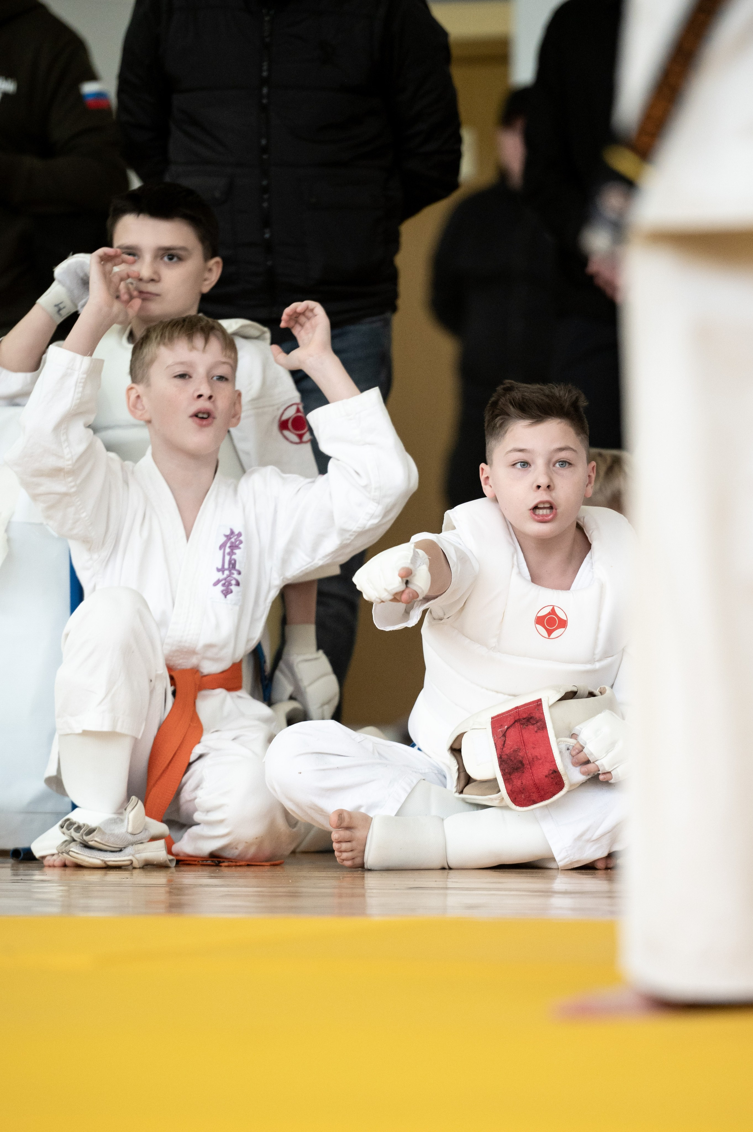 Турнир по карате кекушинкай. Февраль 2024. Спортивный фотограф в Туле и Тульской области. Файсханова Фото Спорт