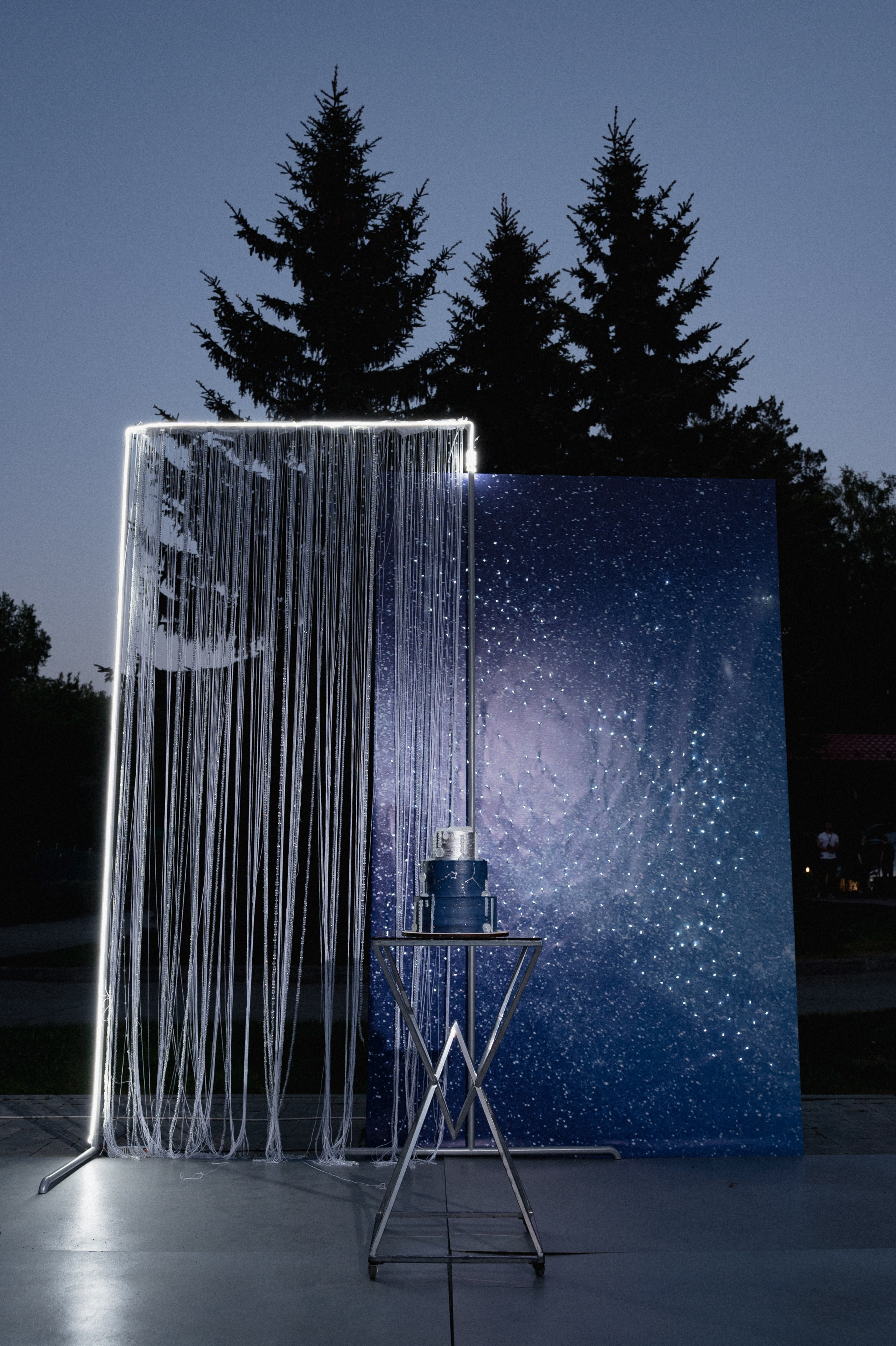 Свадьба в стиле космос. Свадебный фотограф в Новосибирске Алена Цизман