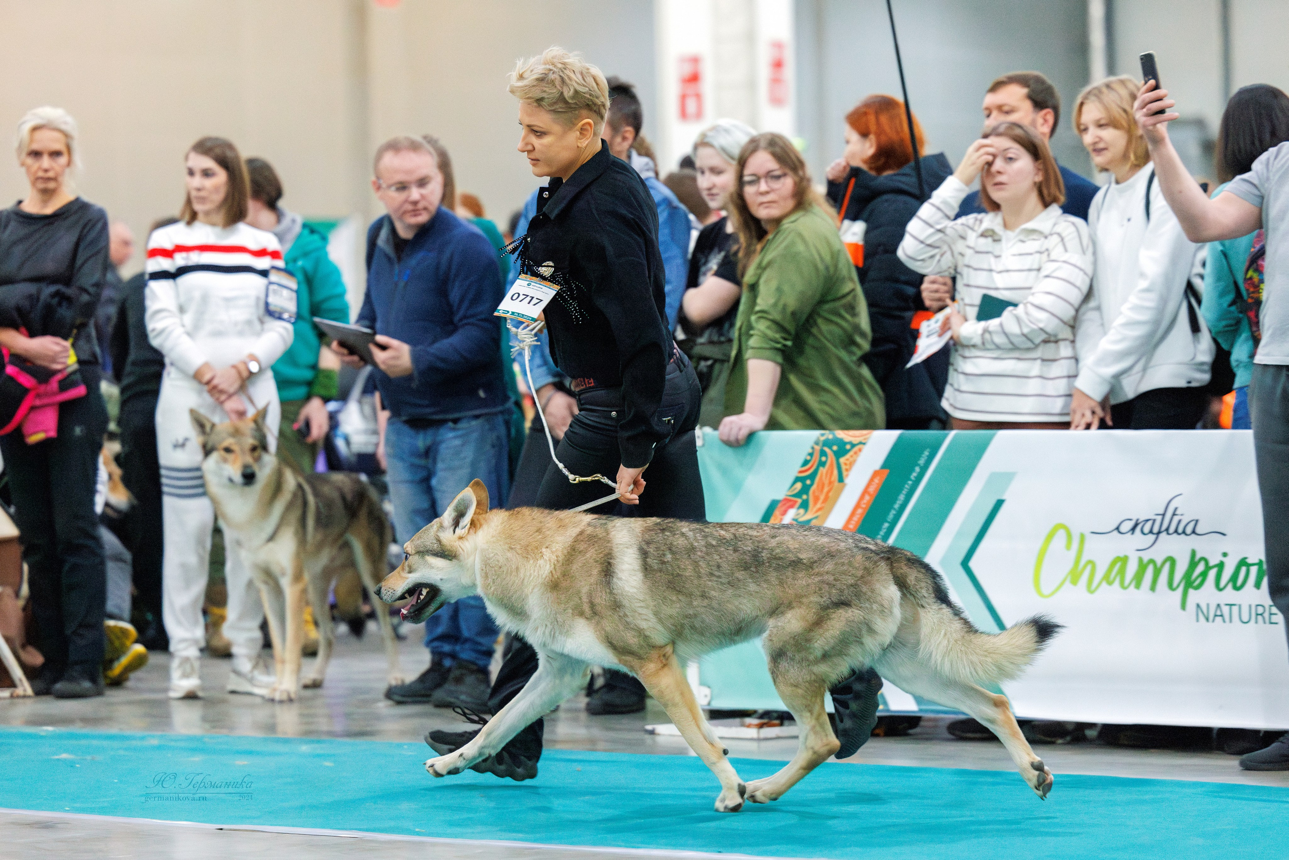 Евразия 16-17.11.2024. Фотограф-анималист Юлия Германика