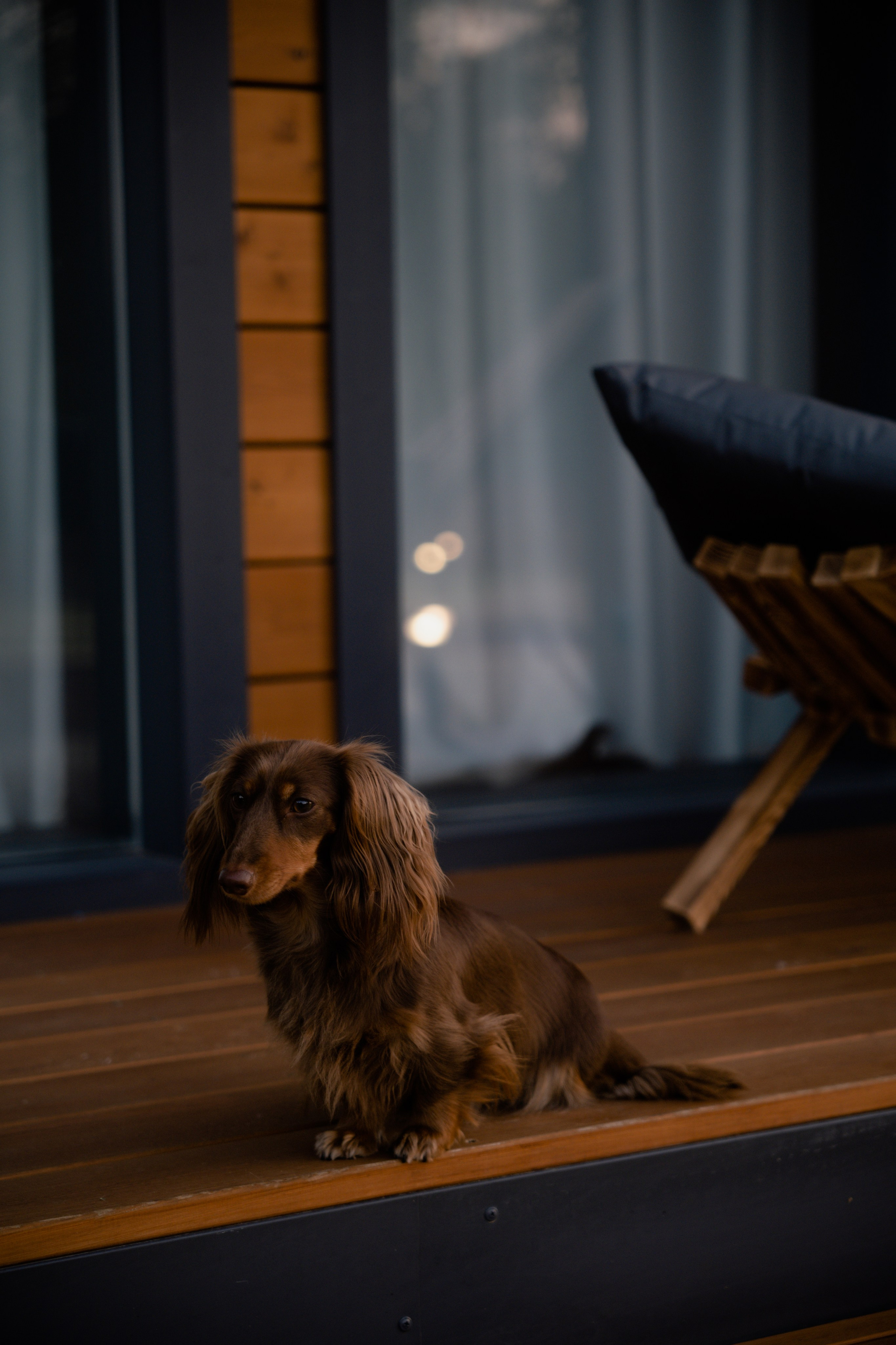 База отдыха. Фотограф и видеограф Мария Банщикова, Солнечногорск, Москва