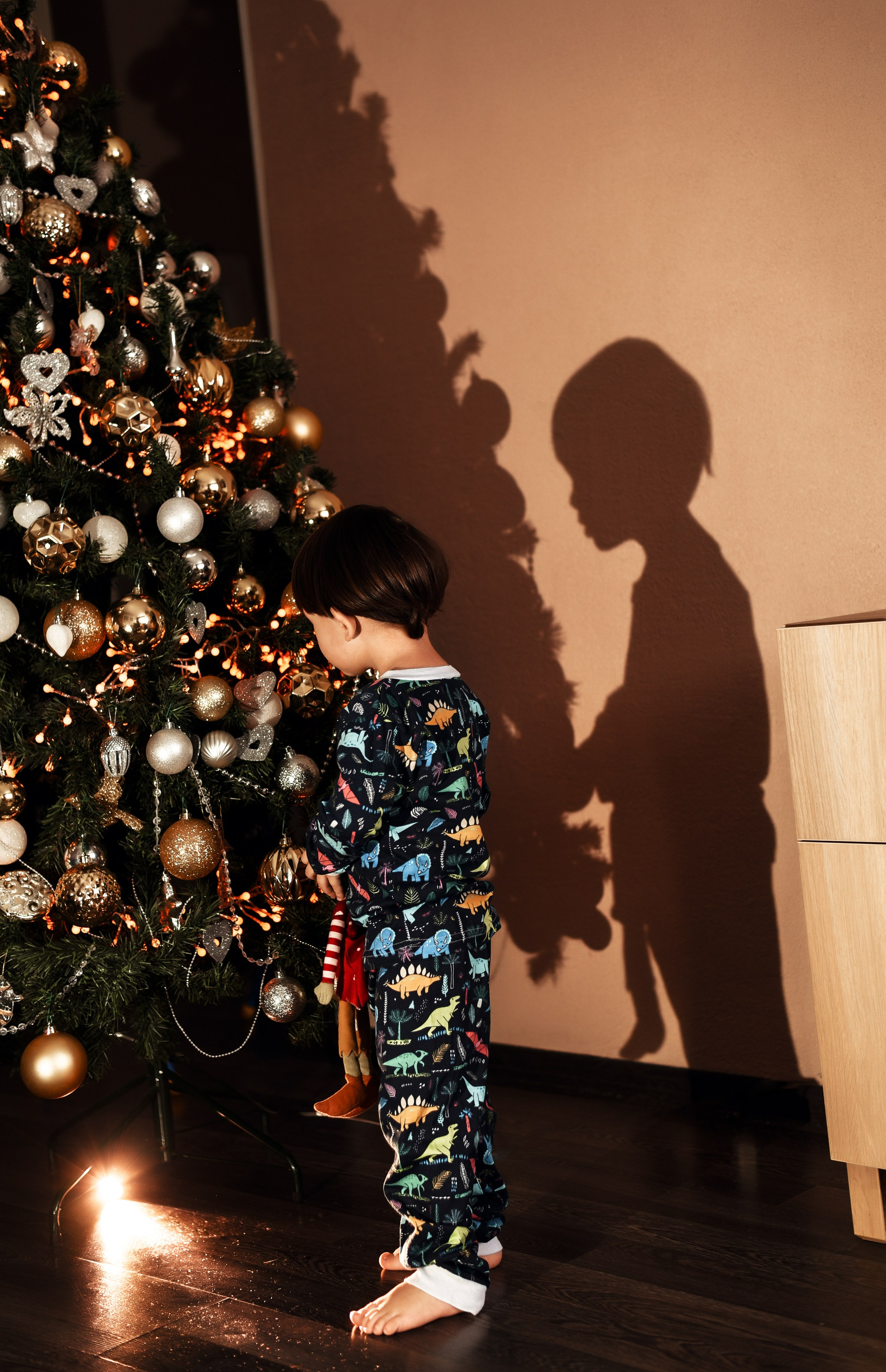 Домашняя новогодняя. Свадебный, семейный, детский, контент фотограф в Омске Максим Ильин