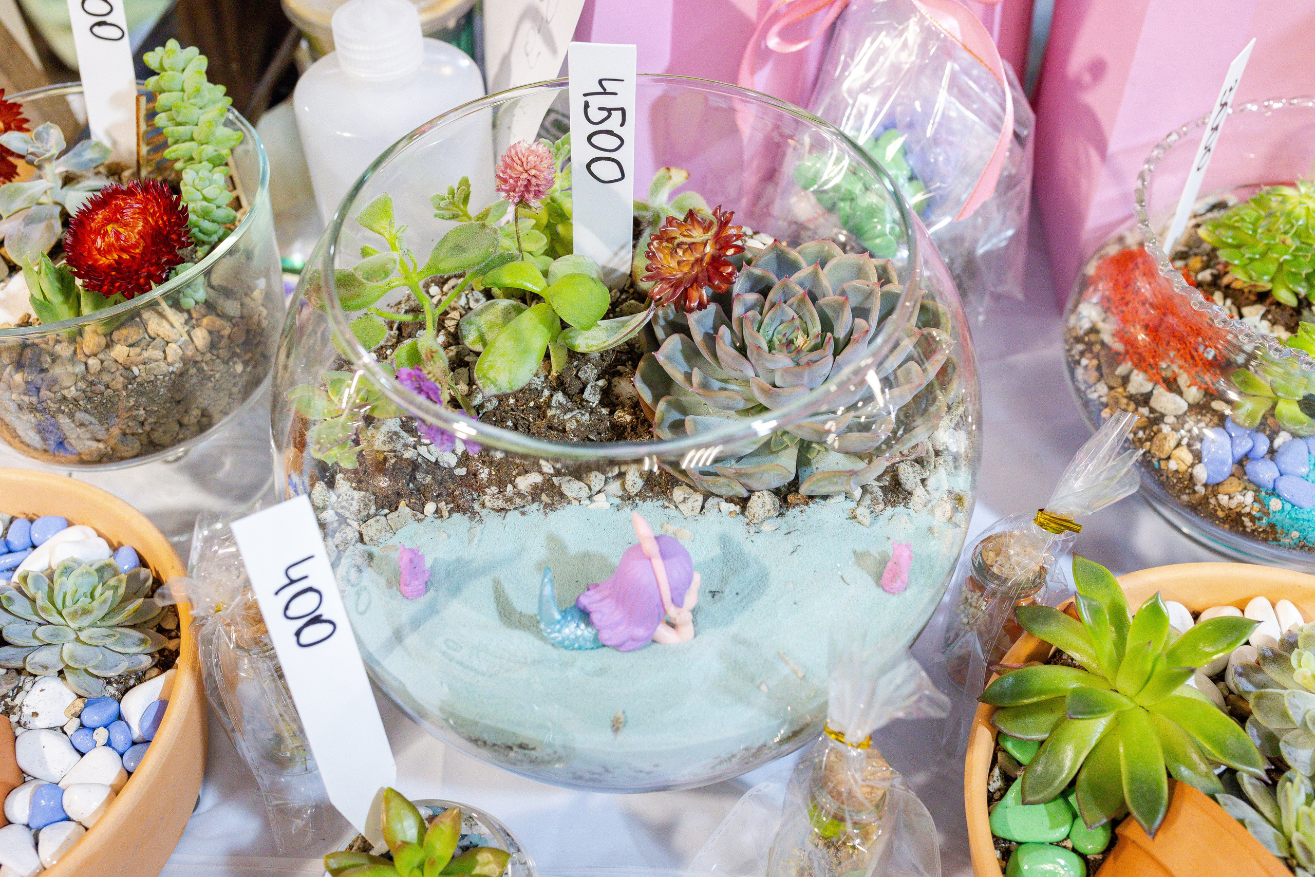 Кактус Фест. Александра Куликова фотограф, Москва