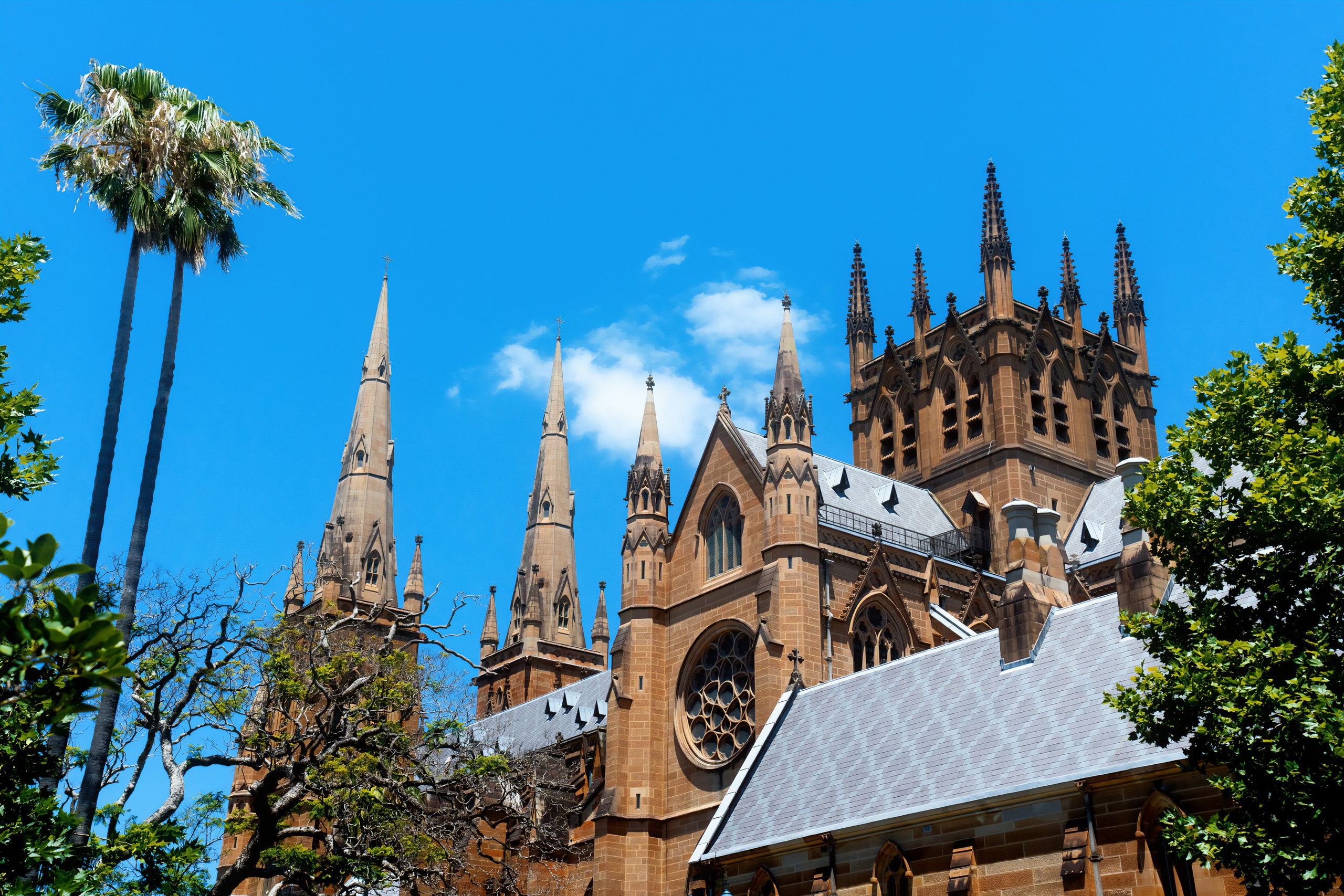 Австралия. Фотограф в Хабаровске. Фотография за 24 часа