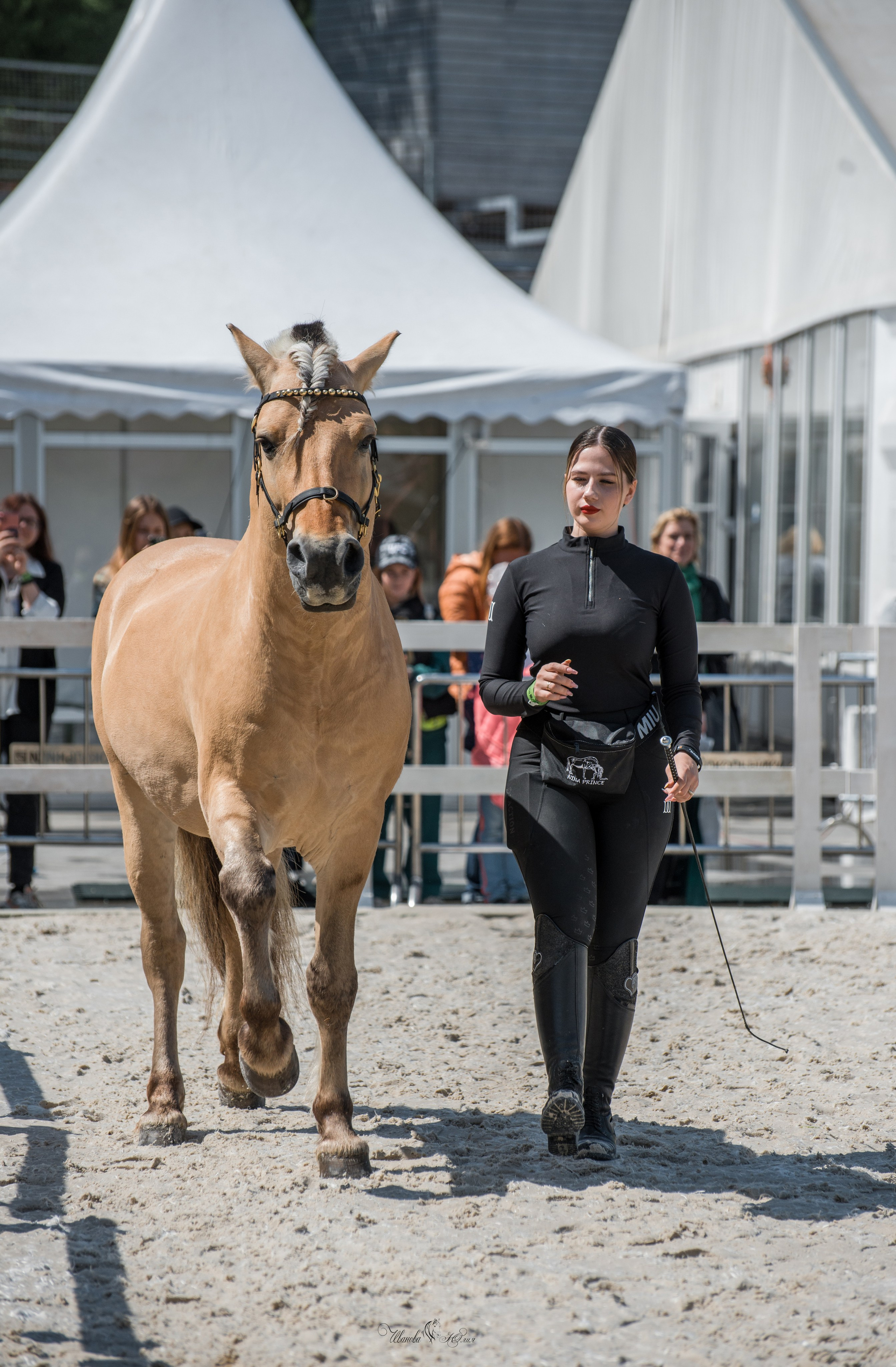 Эквирос, Москва. Конный фотограф в Саратове Юлия Иванова