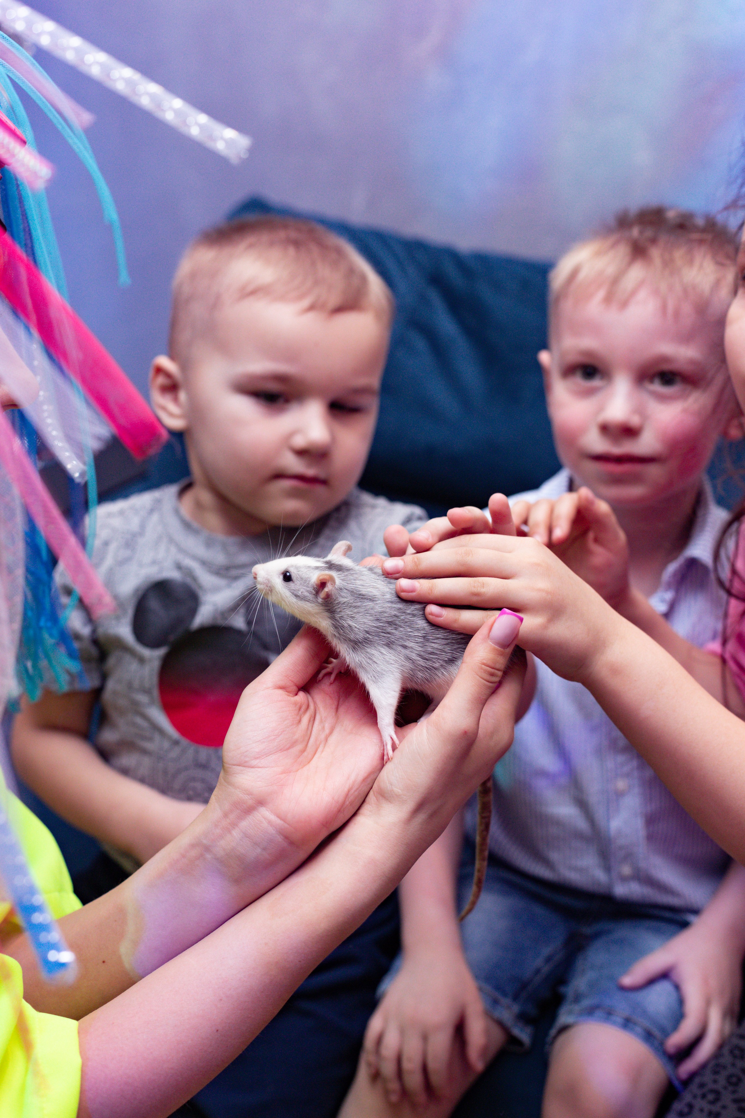 ZAHAR 5 YEAR / BIRTHDAY. Photokarish