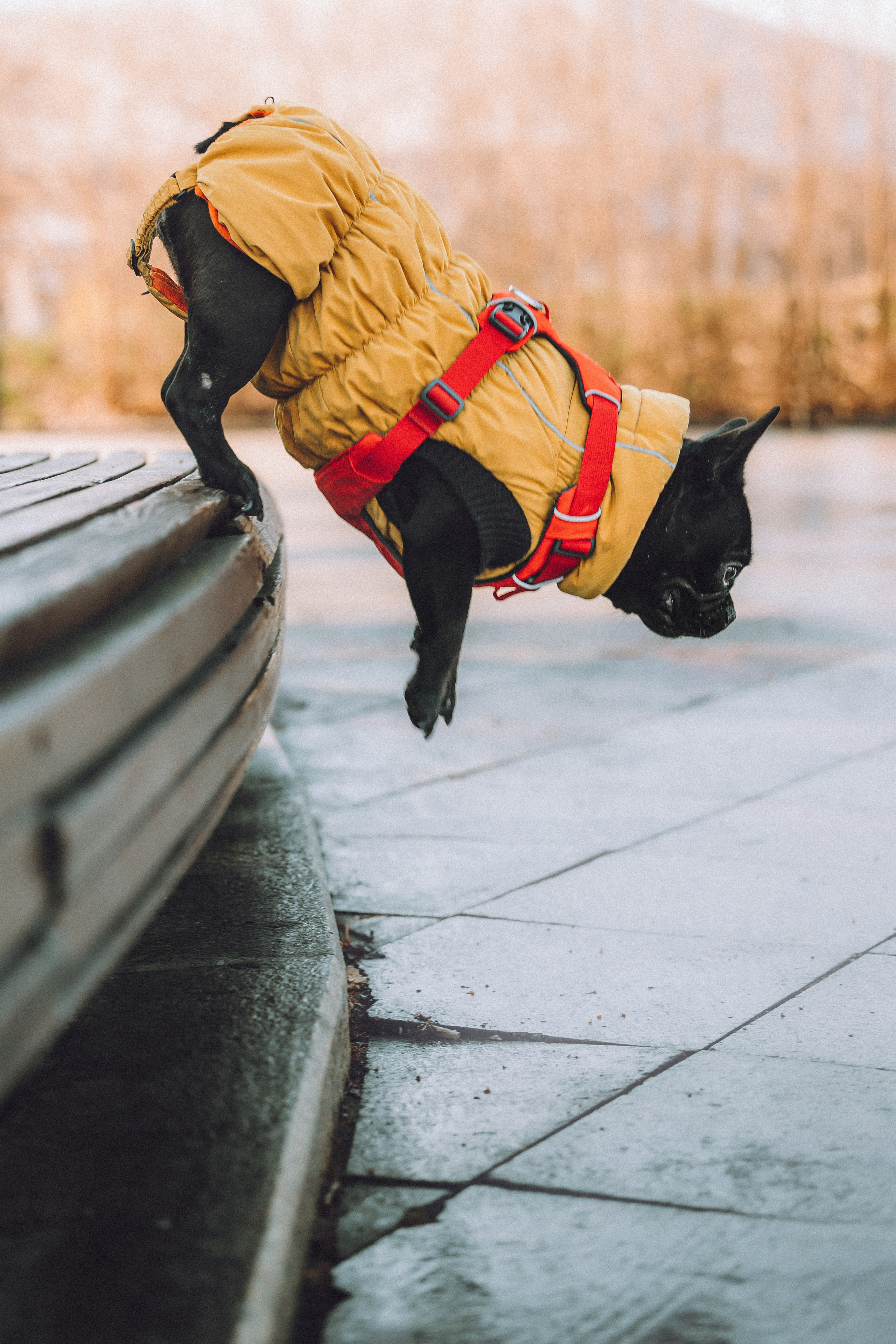 Саша, Дима и Шпуля