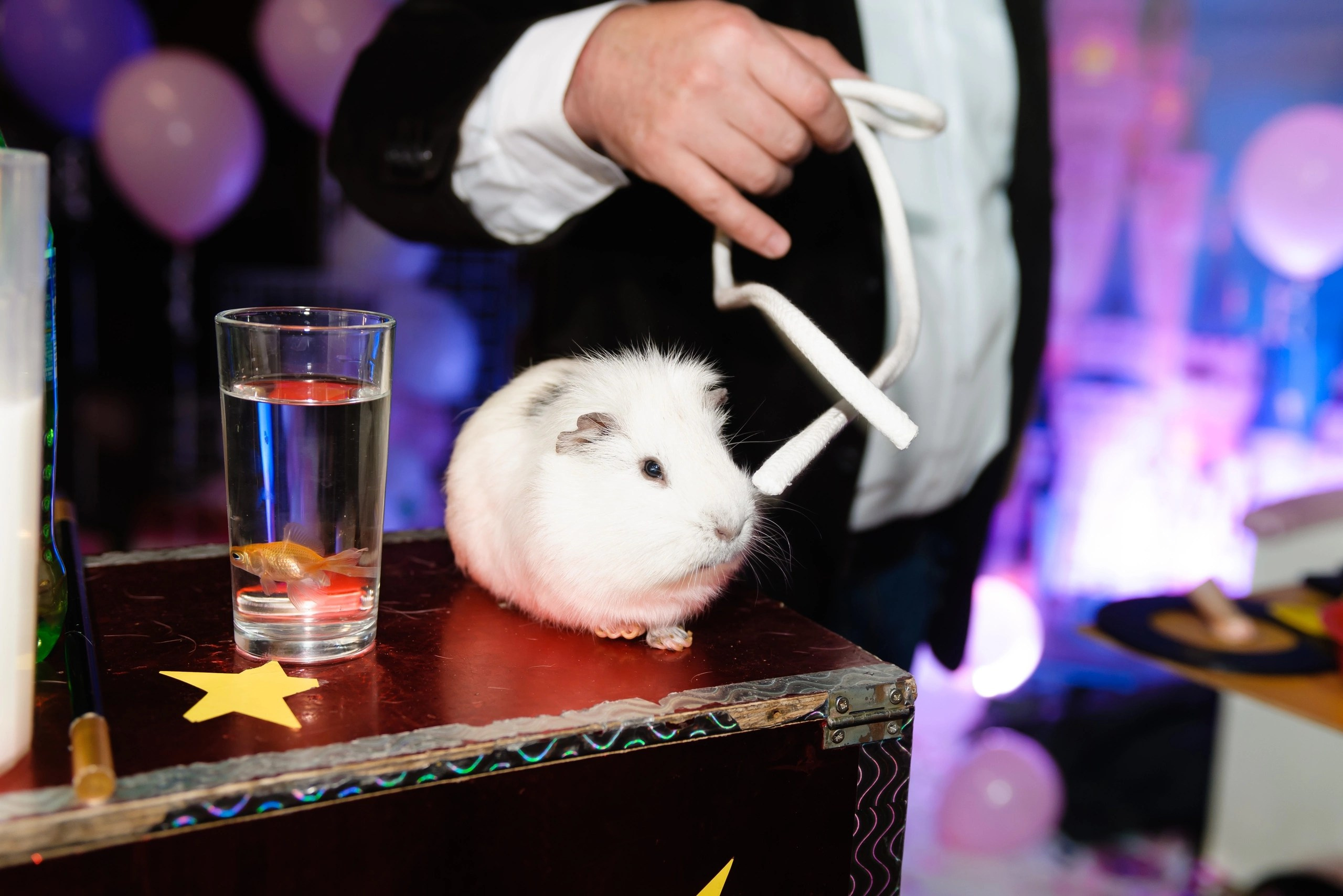 THE FACTORY. Организация мероприятий Донецк (ДНР). Организация и декор мероприятий Донецк (ДНР)