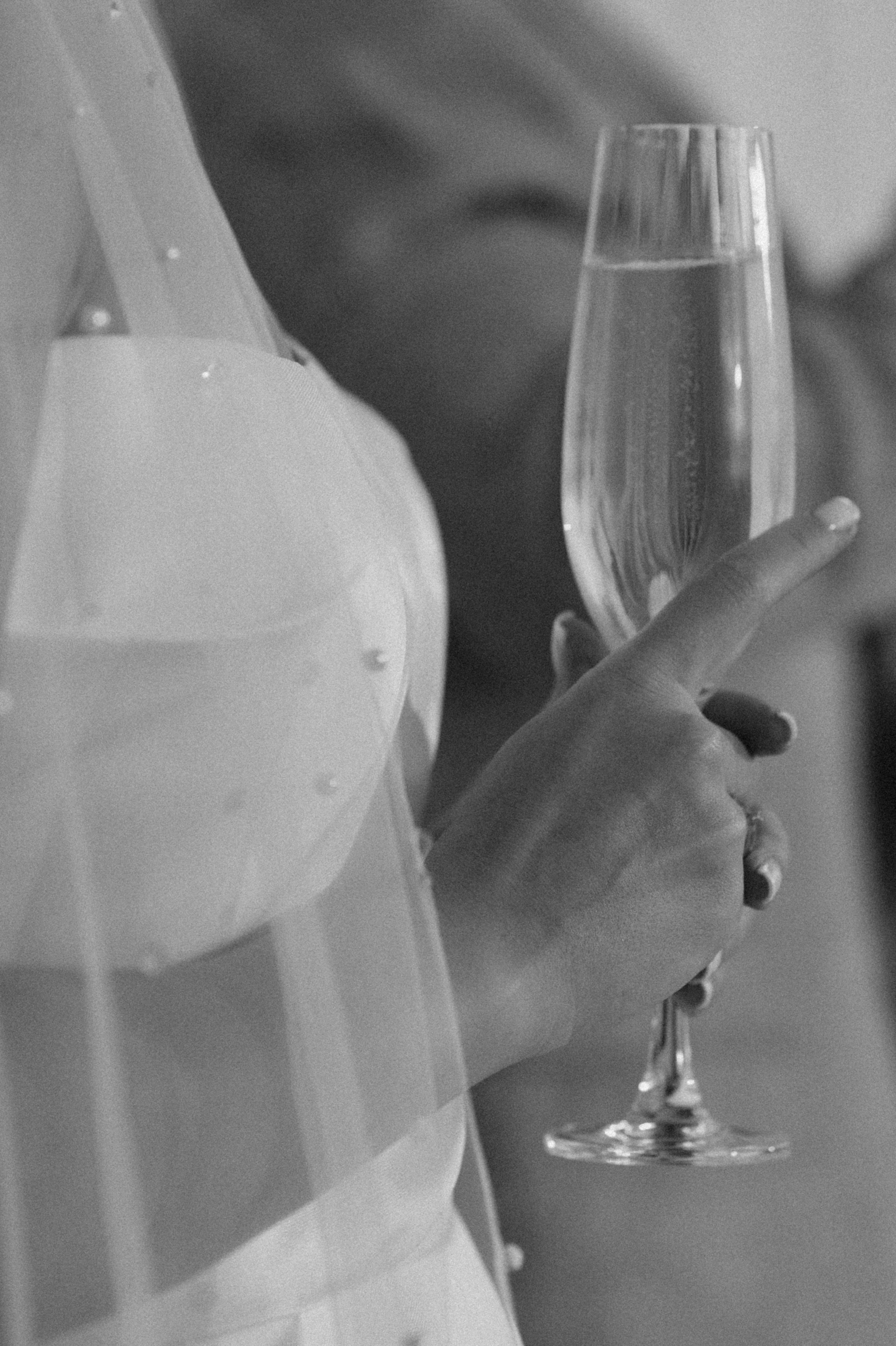 Вечеринка в Санта-Барбаре. Свадебный и семейный фотограф в Краснодаре Марина Стёпа