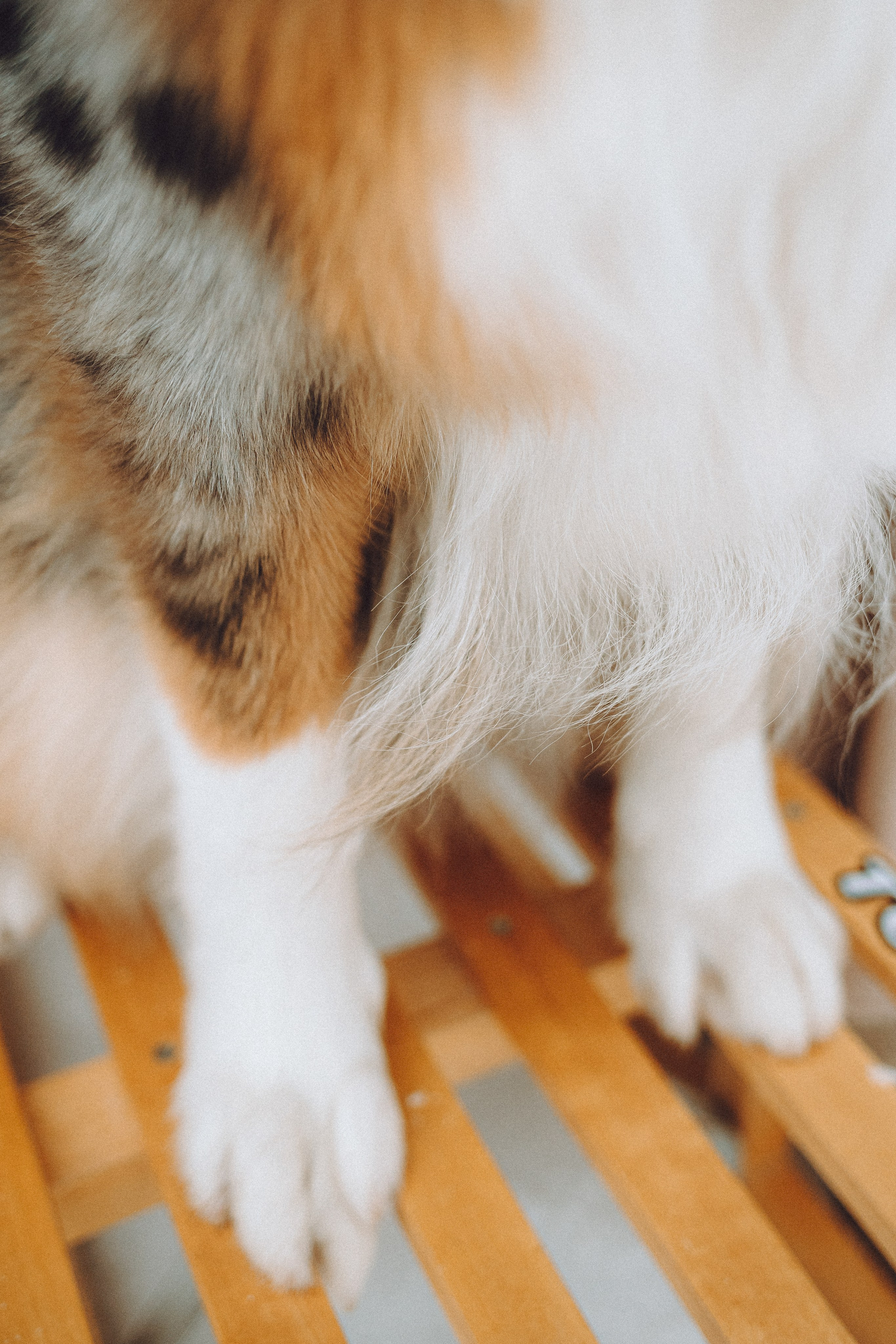 Фаня и ее семья