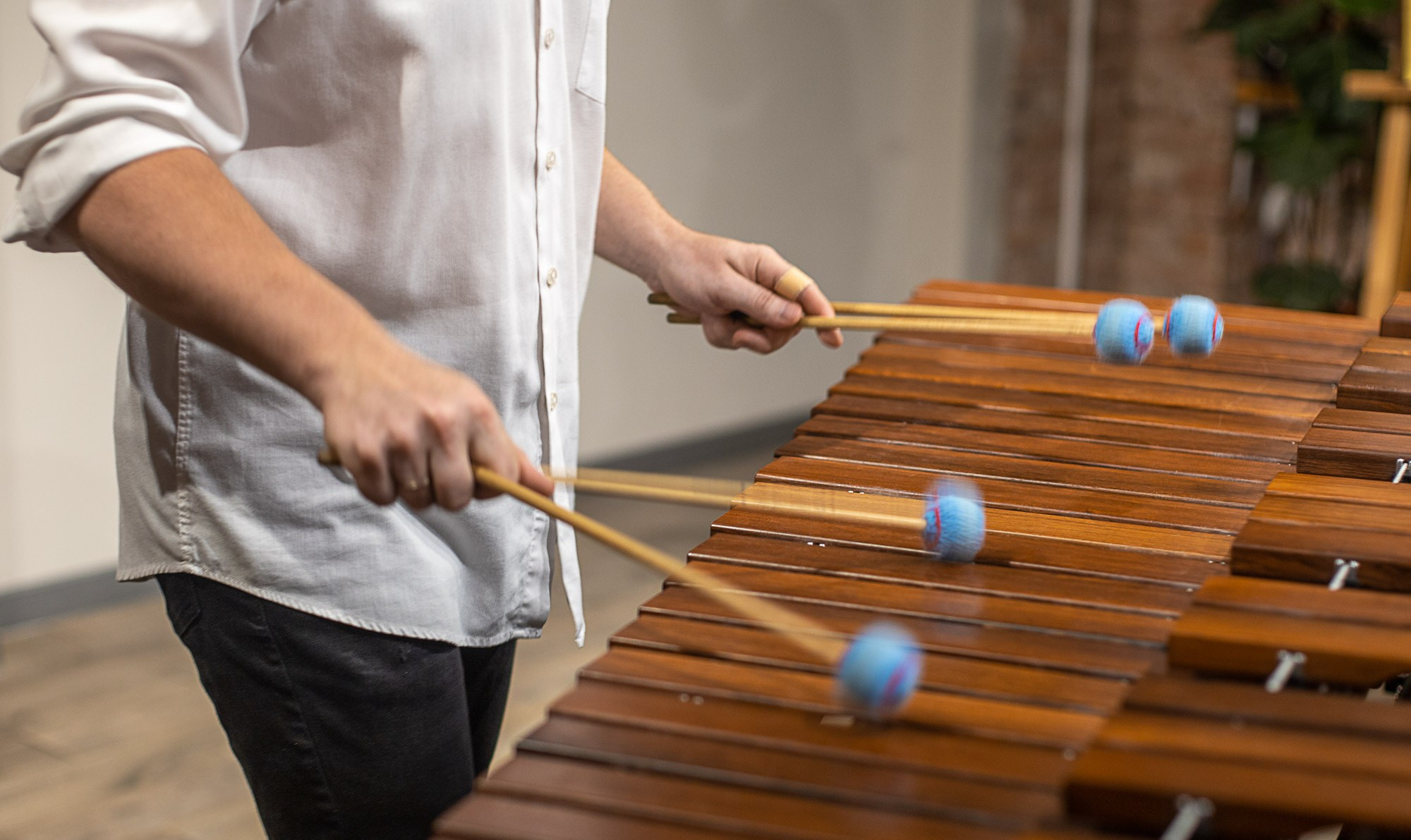 Арфа и маримба. SaGaFOTO.ru