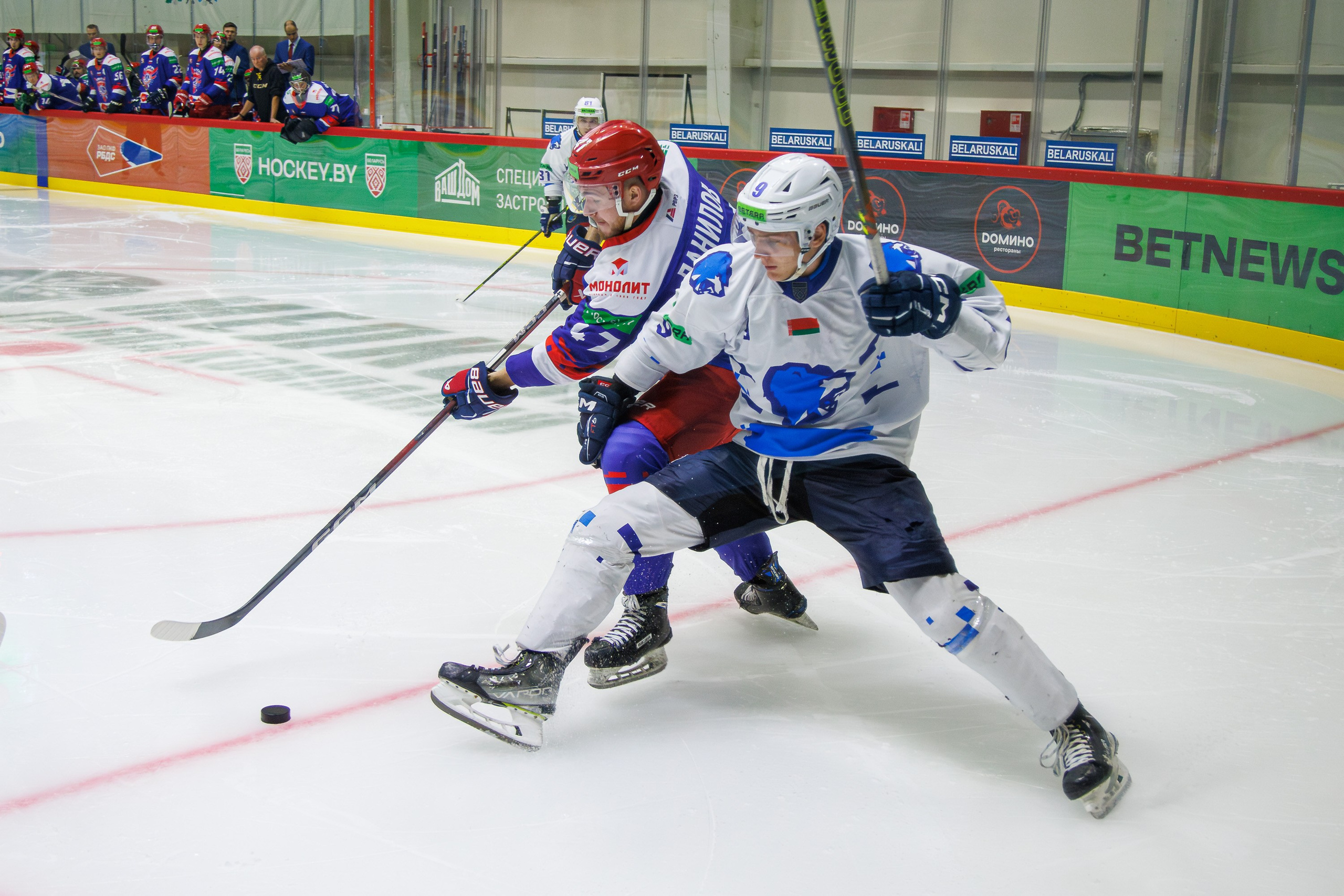 Хоккей. Спортивный фотограф Вадим Добедченков