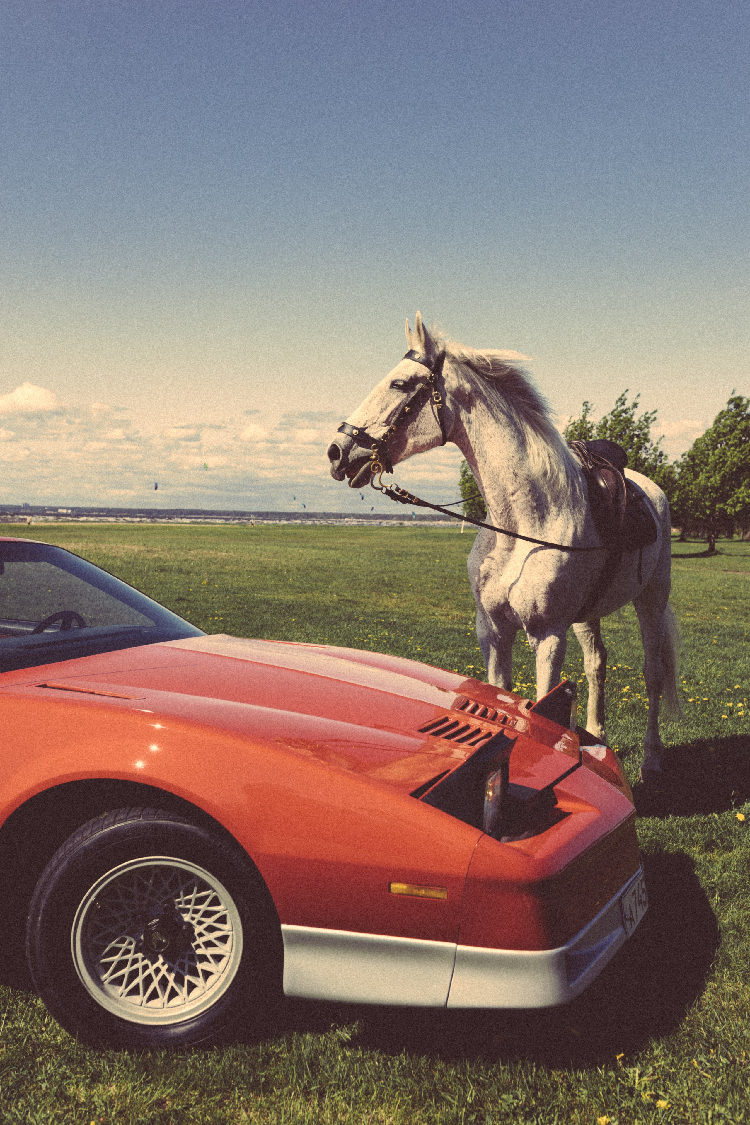 Happiness is in the moments