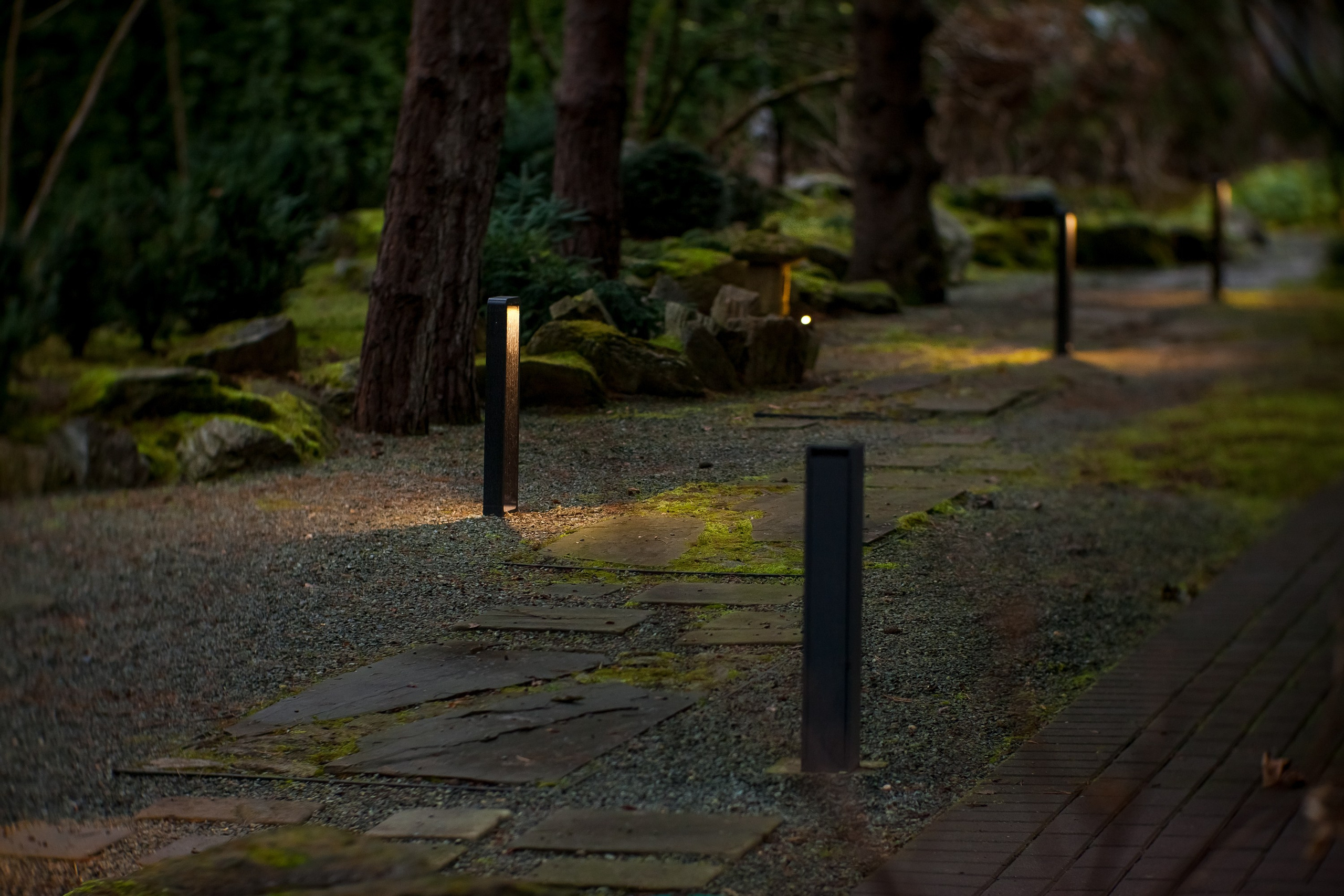 Сад «Сиреневый туман» (автор сада: Елена Асташкина). Туманов Виталий — фотограф Москва