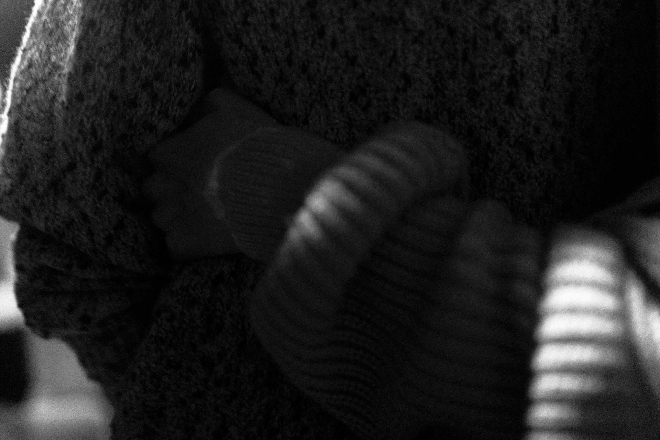 ВОЛЬНОСТЬ. Фотограф Елена Богачева (lenalena_na_na_na)