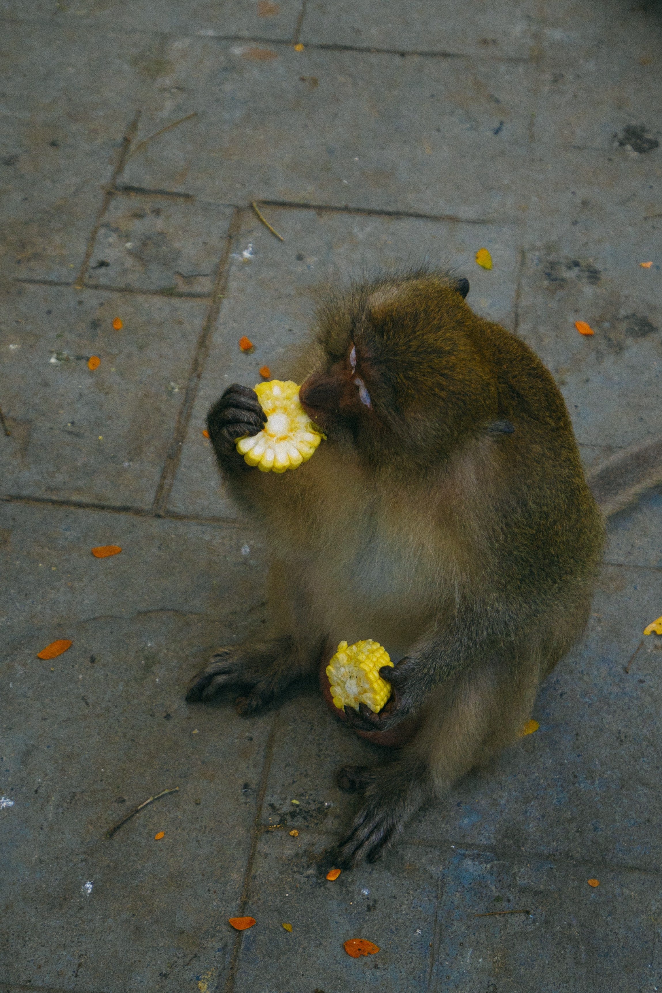 Тайланд. Фотограф Алиса Аспер