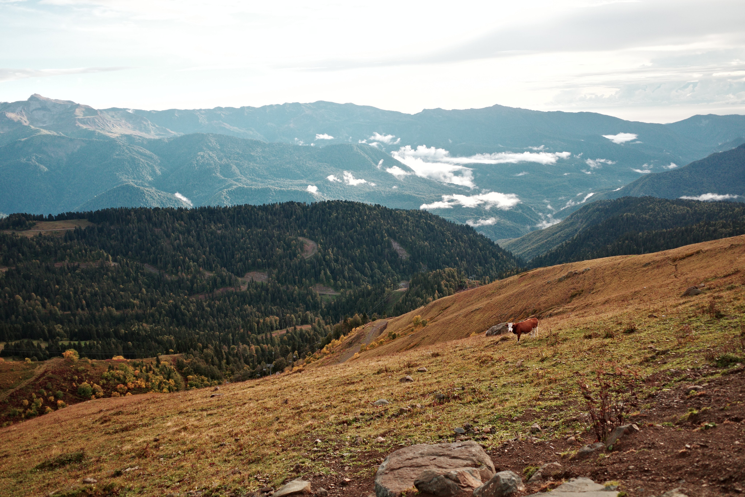CAUCASUS MOUNTAINS. Anne Demia