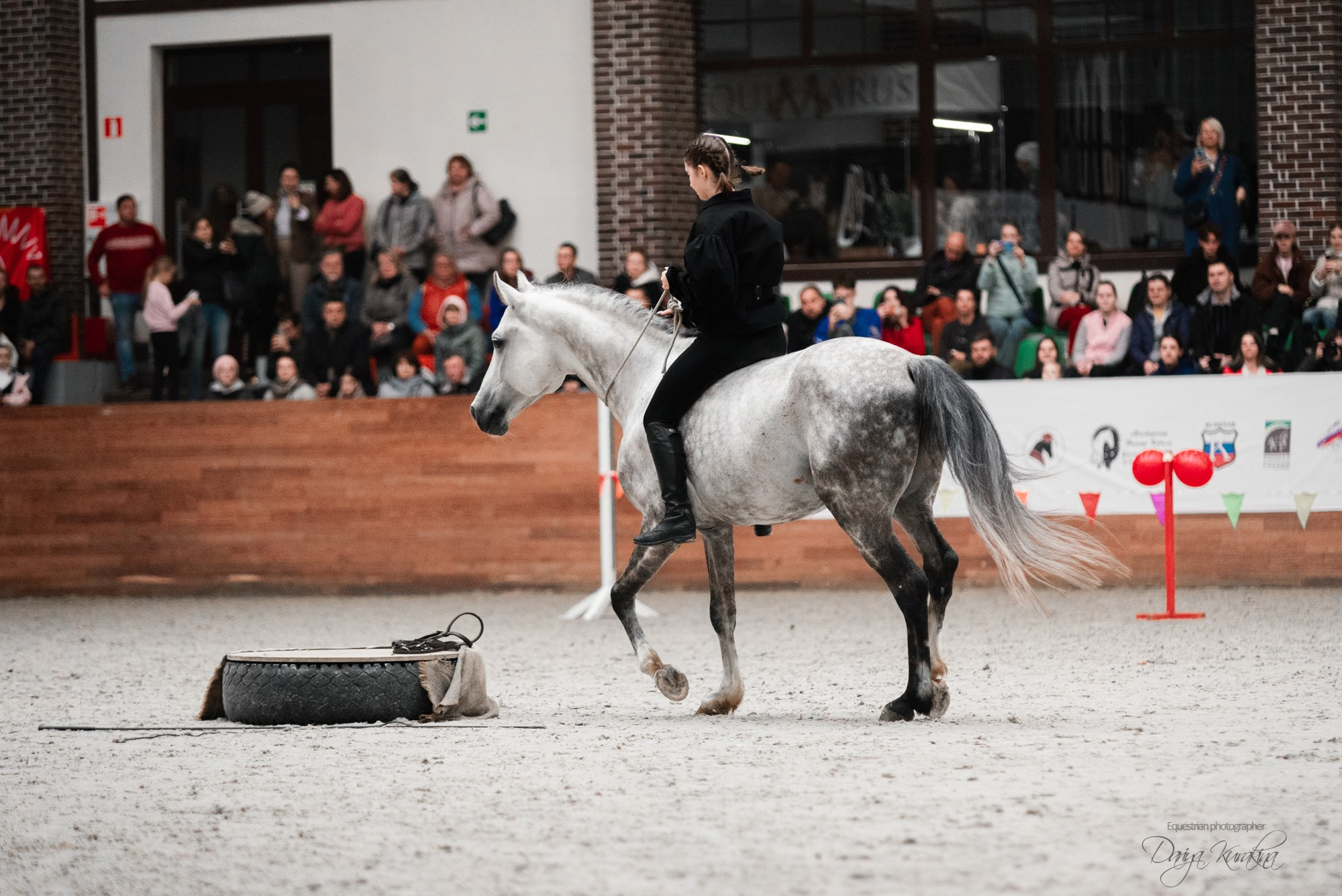 8-я международная выставка Конная Россия. Конный фотограф Куракина Дарья • Фотосессии с лошадьми