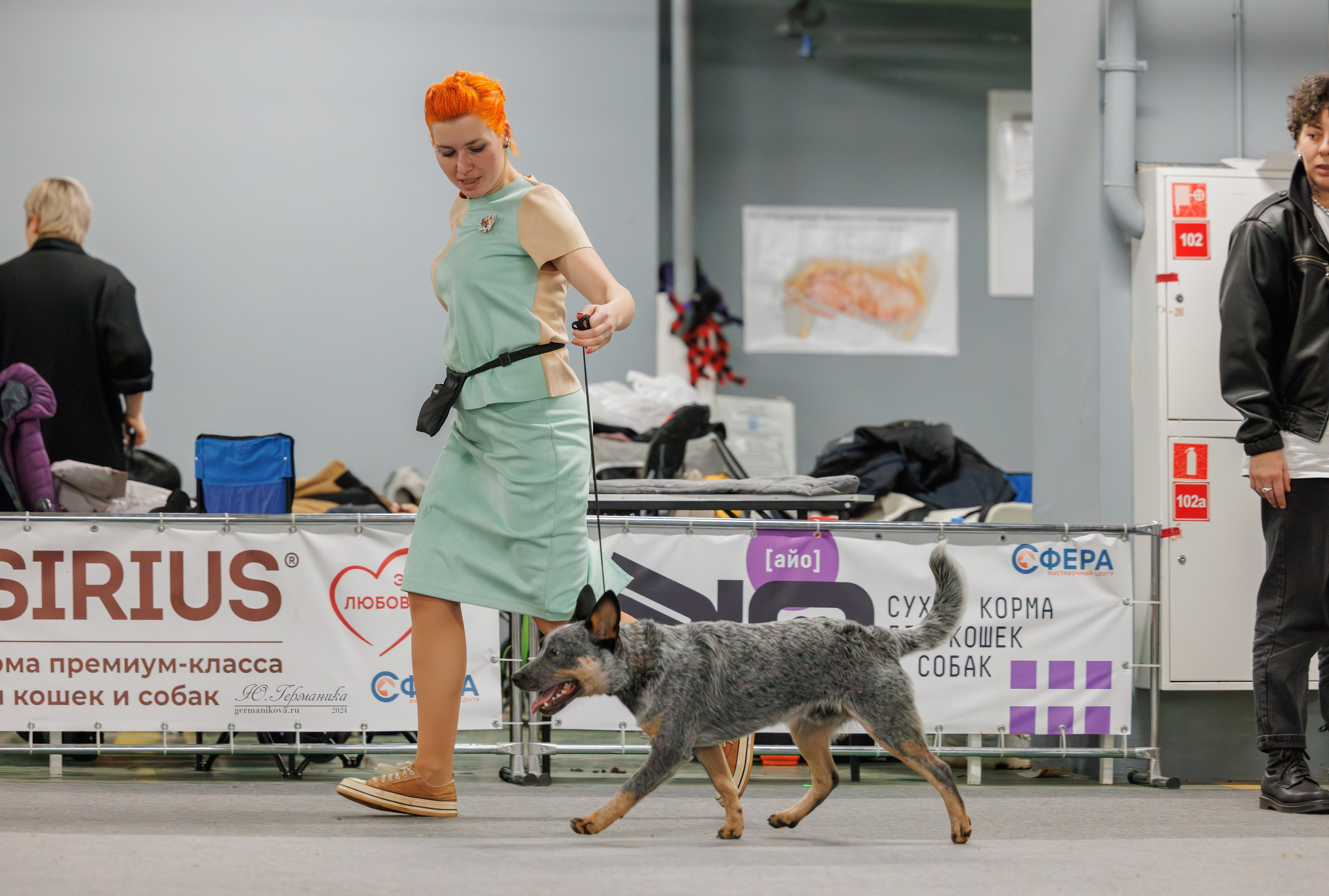 Сфера и Крокус 8,9,16 и 30.03.2025. Фотограф-анималист Юлия Германика