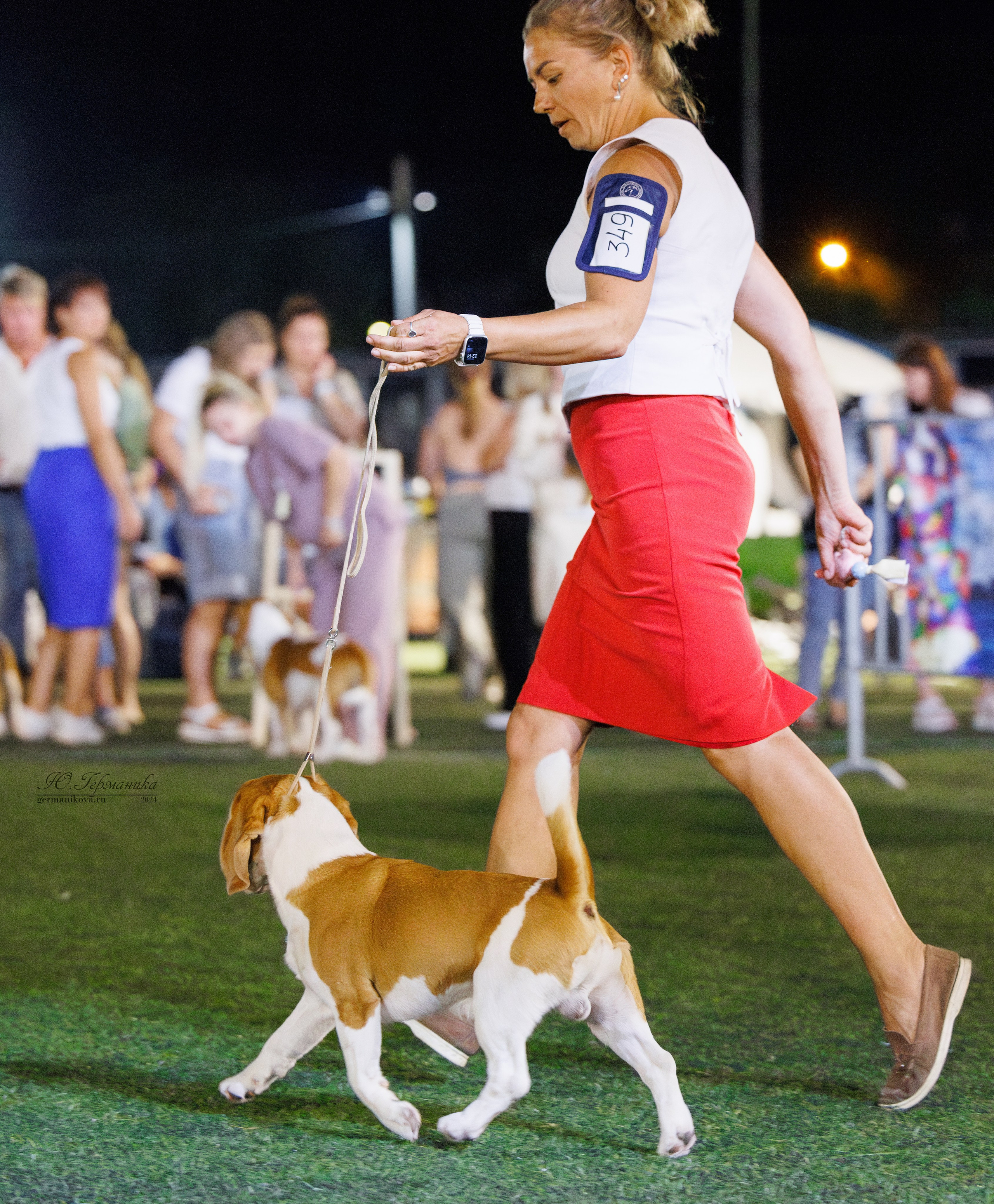 Волгоград 2-4.08.2024. Фотограф-анималист Юлия Германика