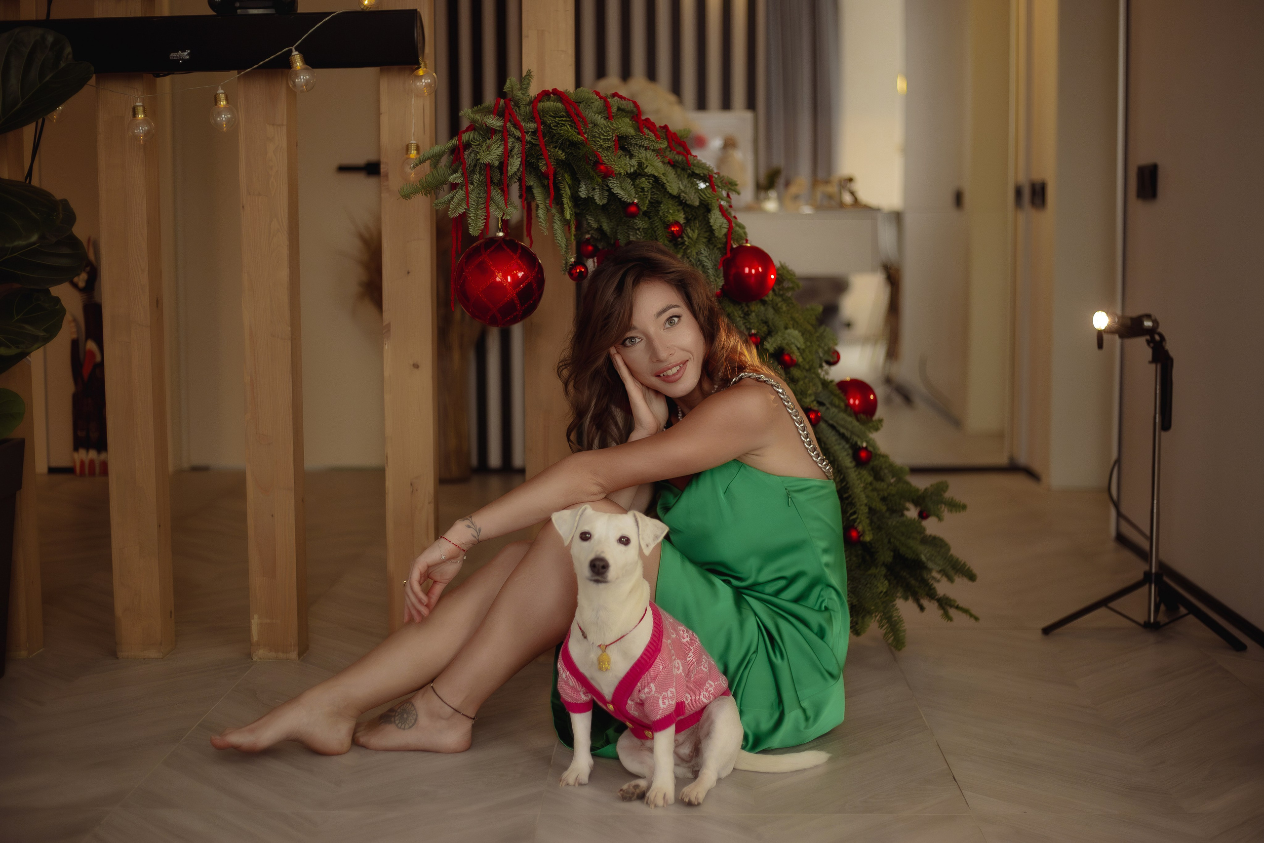 Домашняя. «NEW YEAR». Фотограф Москва / Балашиха