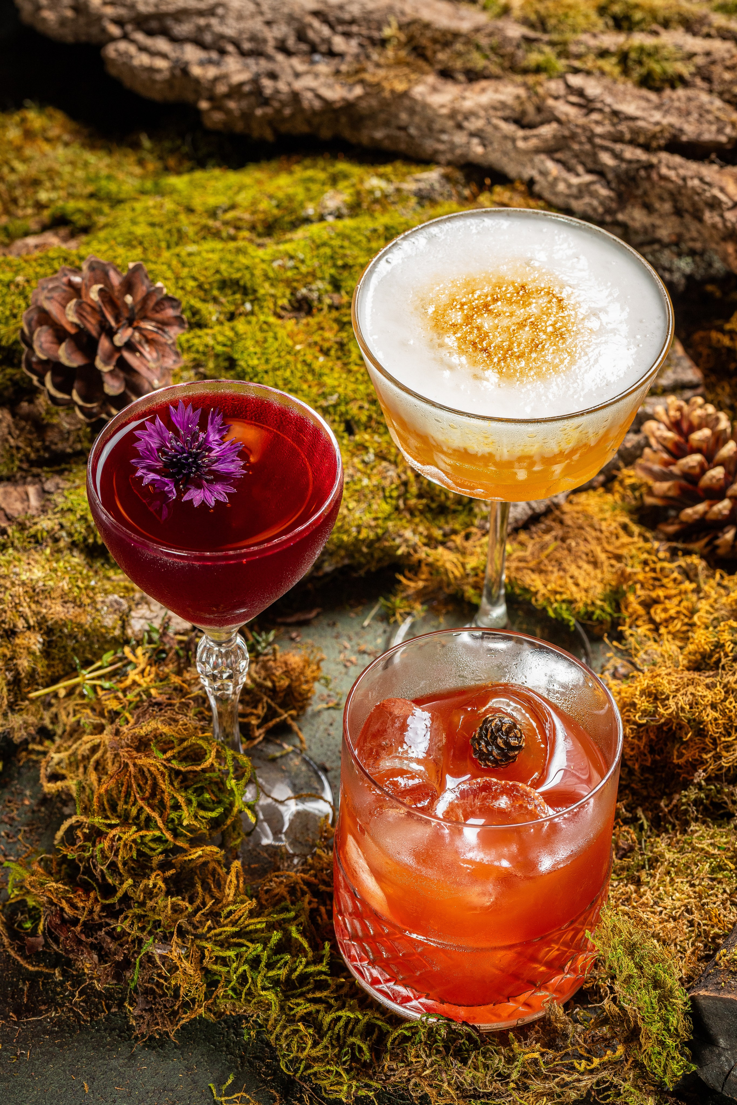 Всё Лень 25. Краснов Максим фуд-фотограф, предметный фотограф, Москва