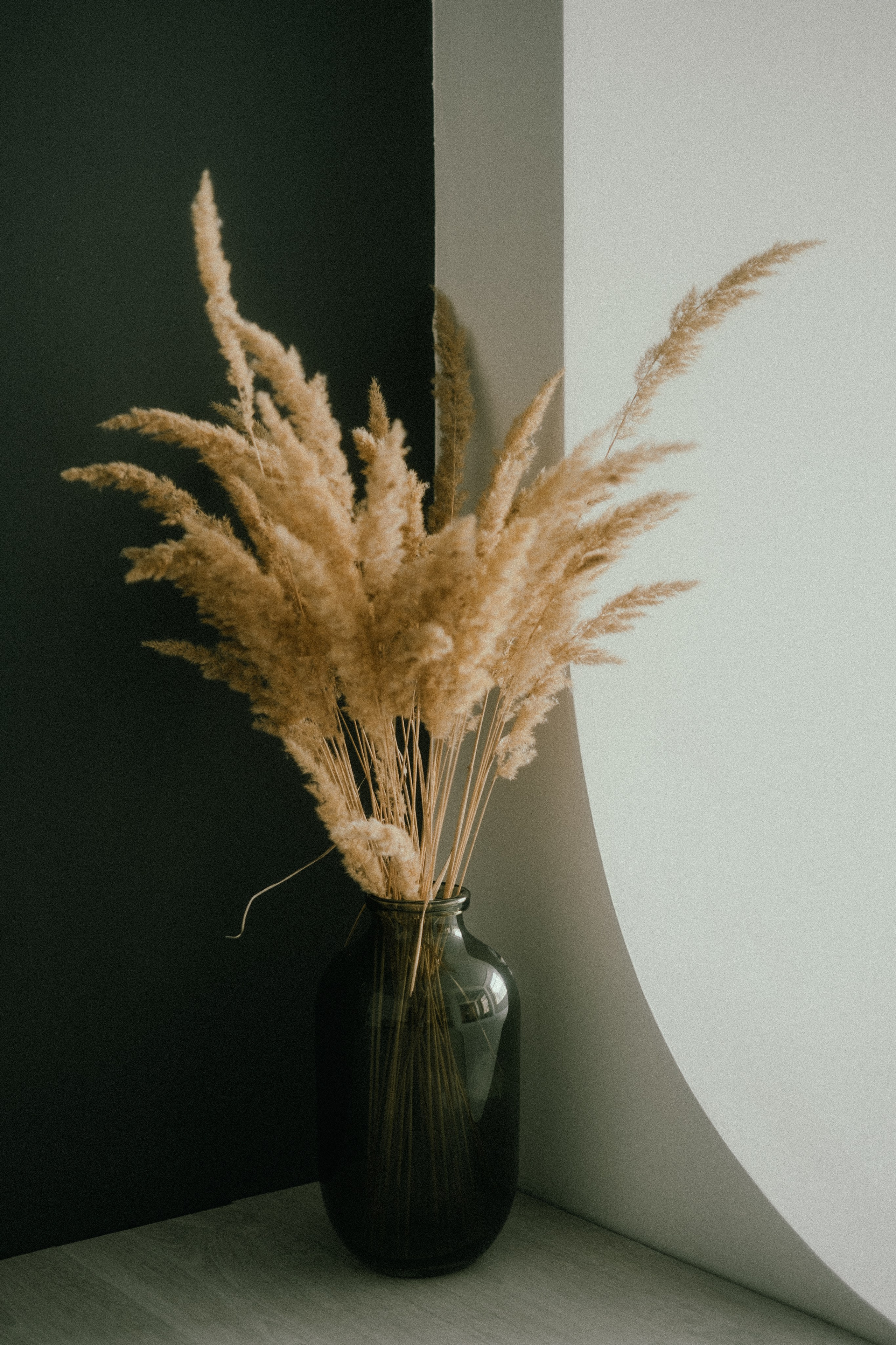 Scenografije i rekviziti. Studio GOBO