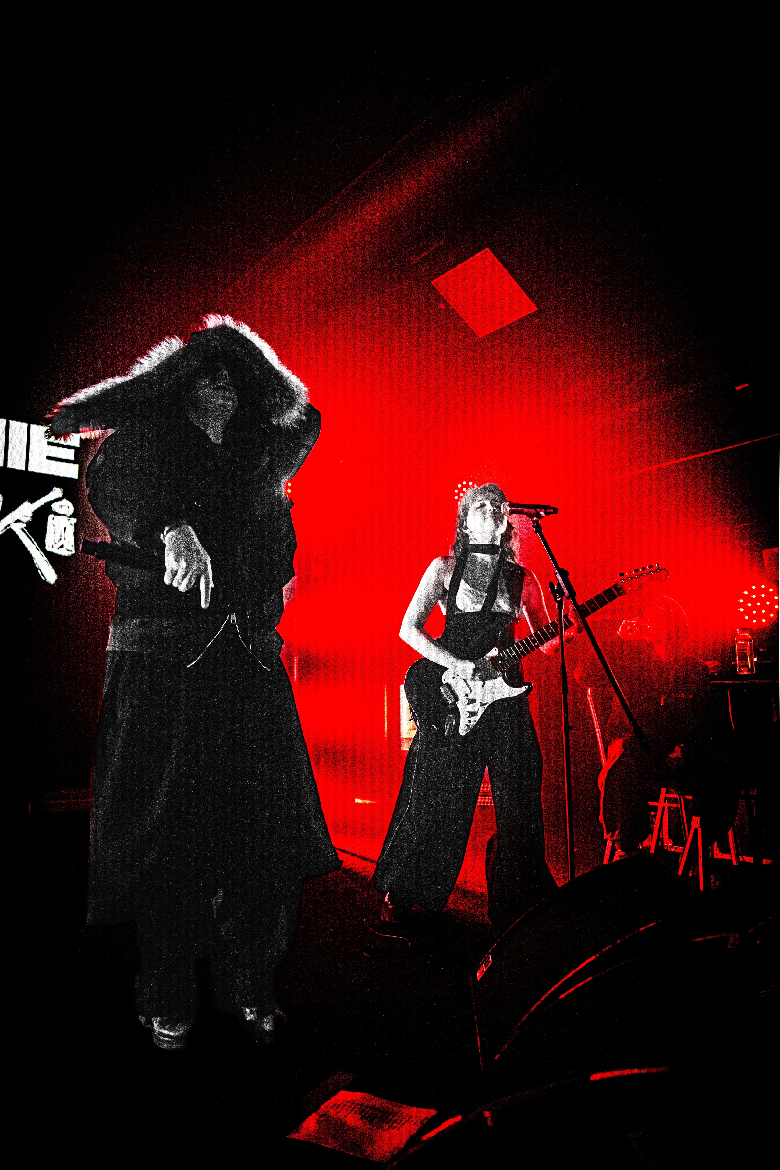 SALUKI. Фотограф Герман Лебедев — Тольятти