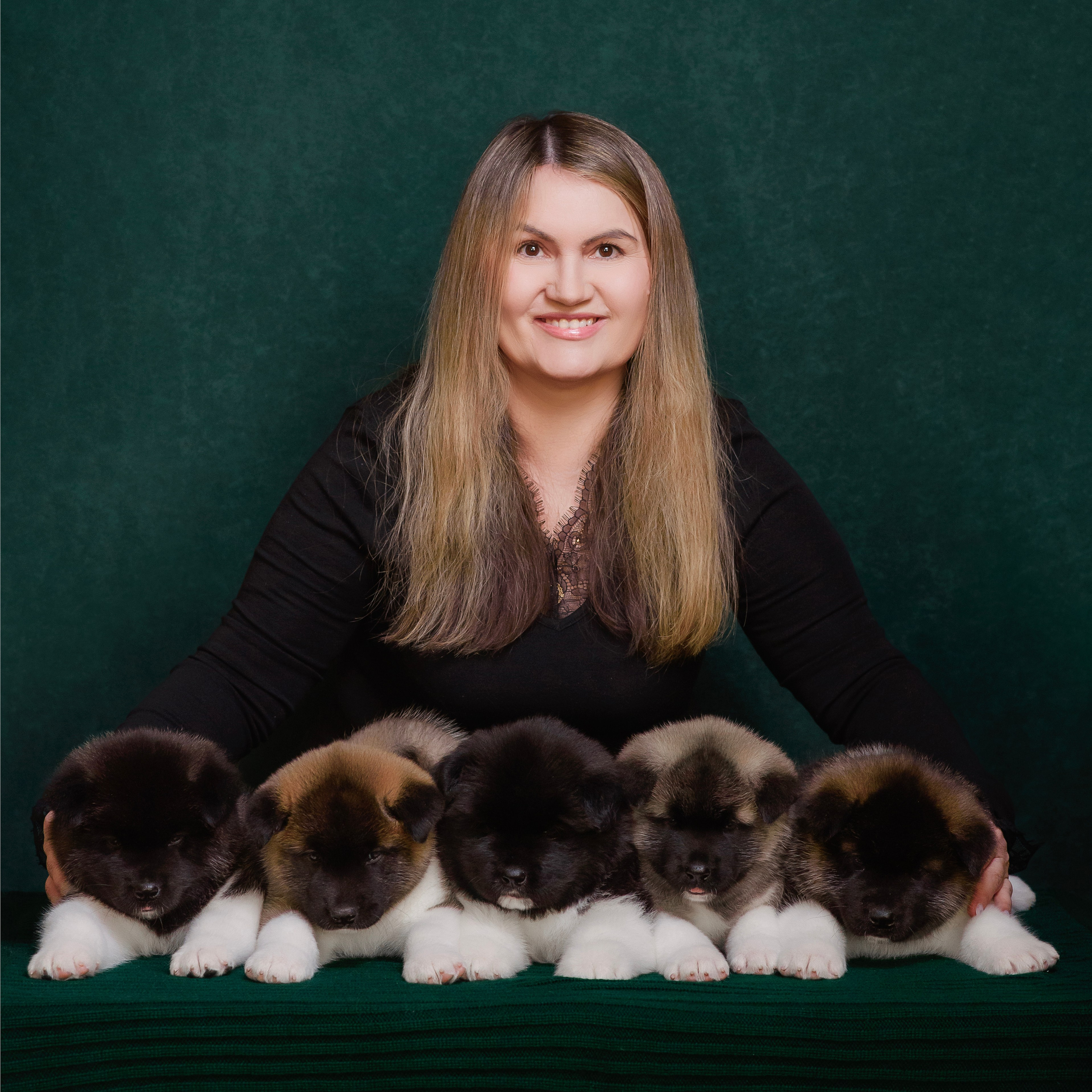 Щенки Американской Акиты. Фотограф — Анималист | Анна Абрамова