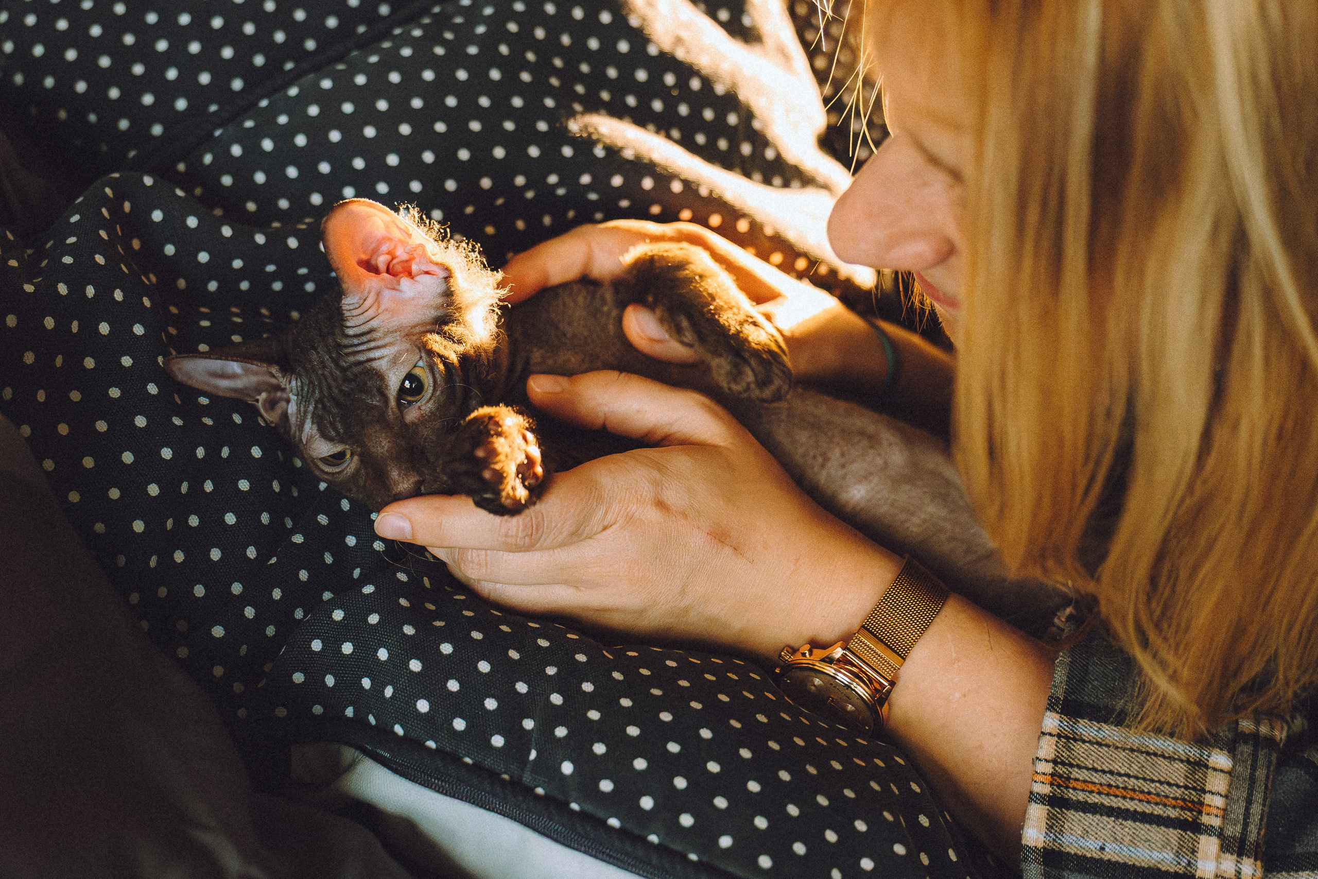 Кокос, Света, Динара и Вилли