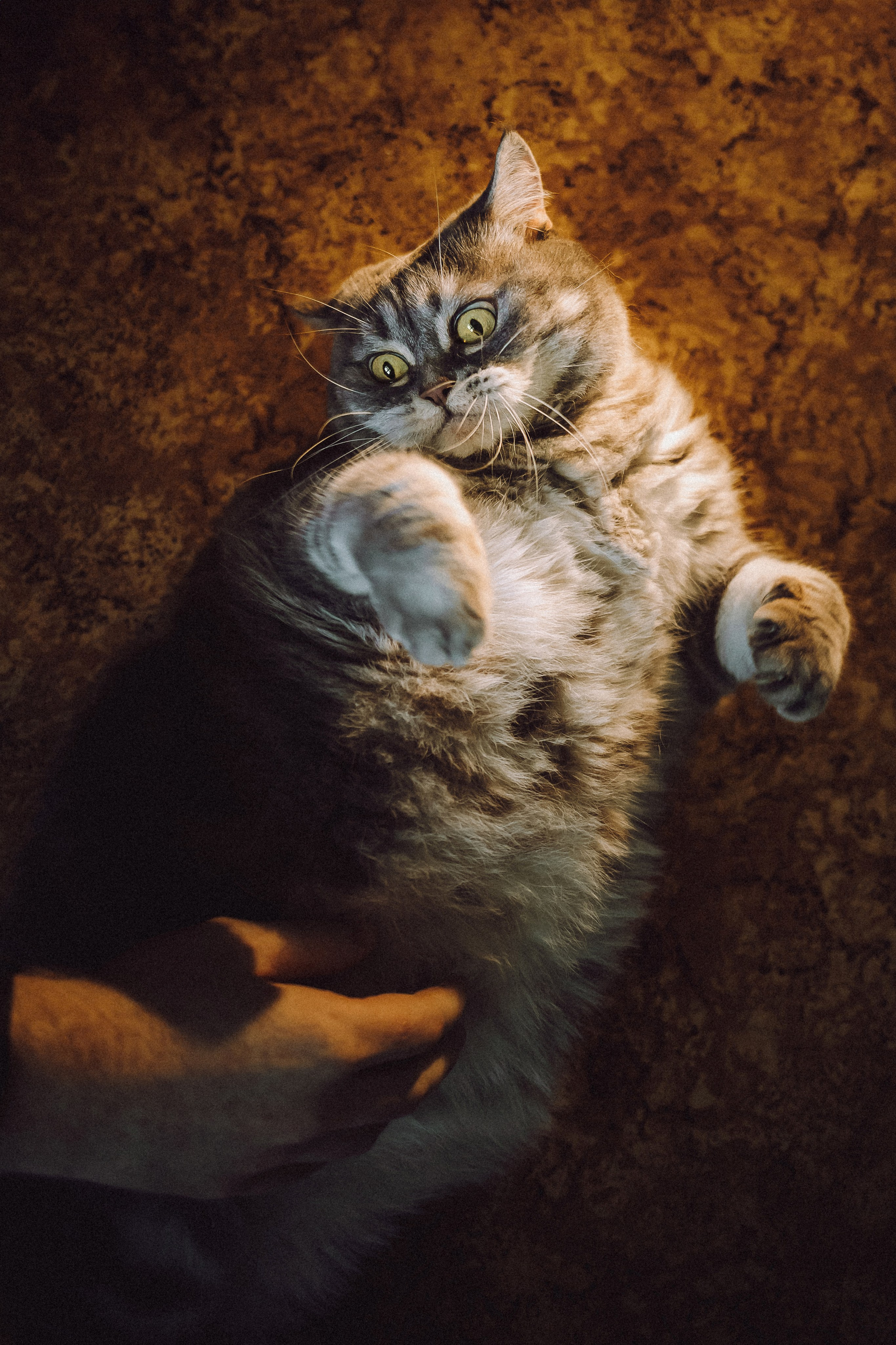 Яся и ее семья