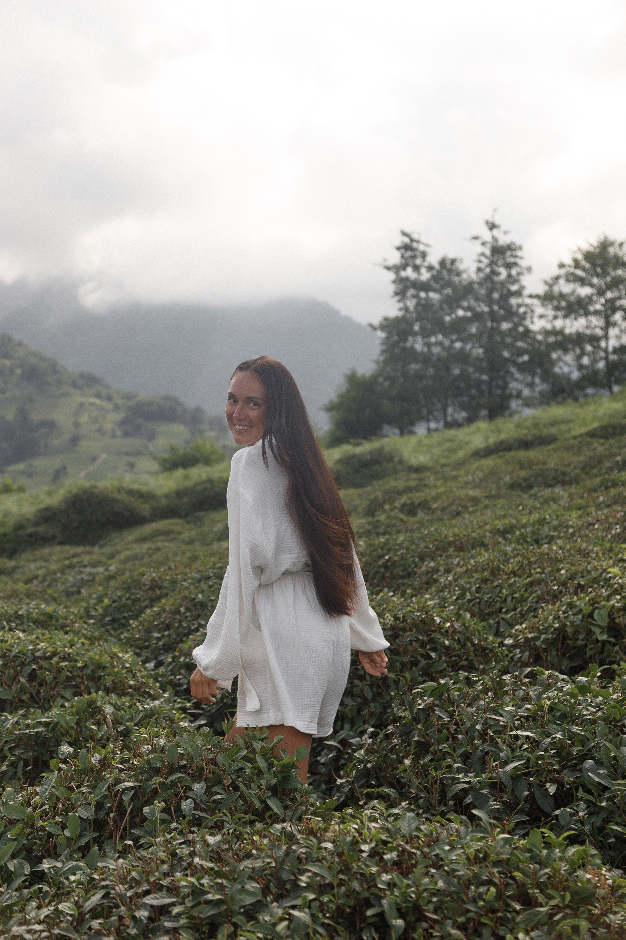 Чайные плантации Батуми