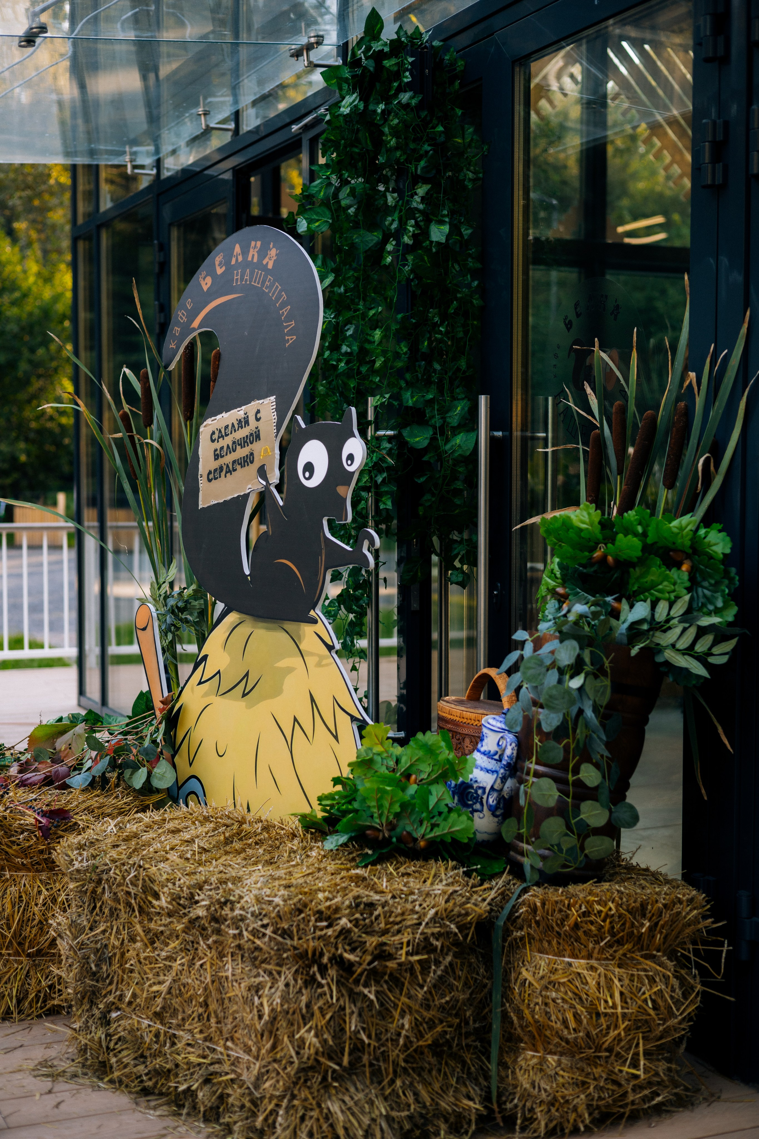 Банкеты. Кафе «БЕЛКА НАШЕПТАЛА». Ну оооочень концептуальное кафе