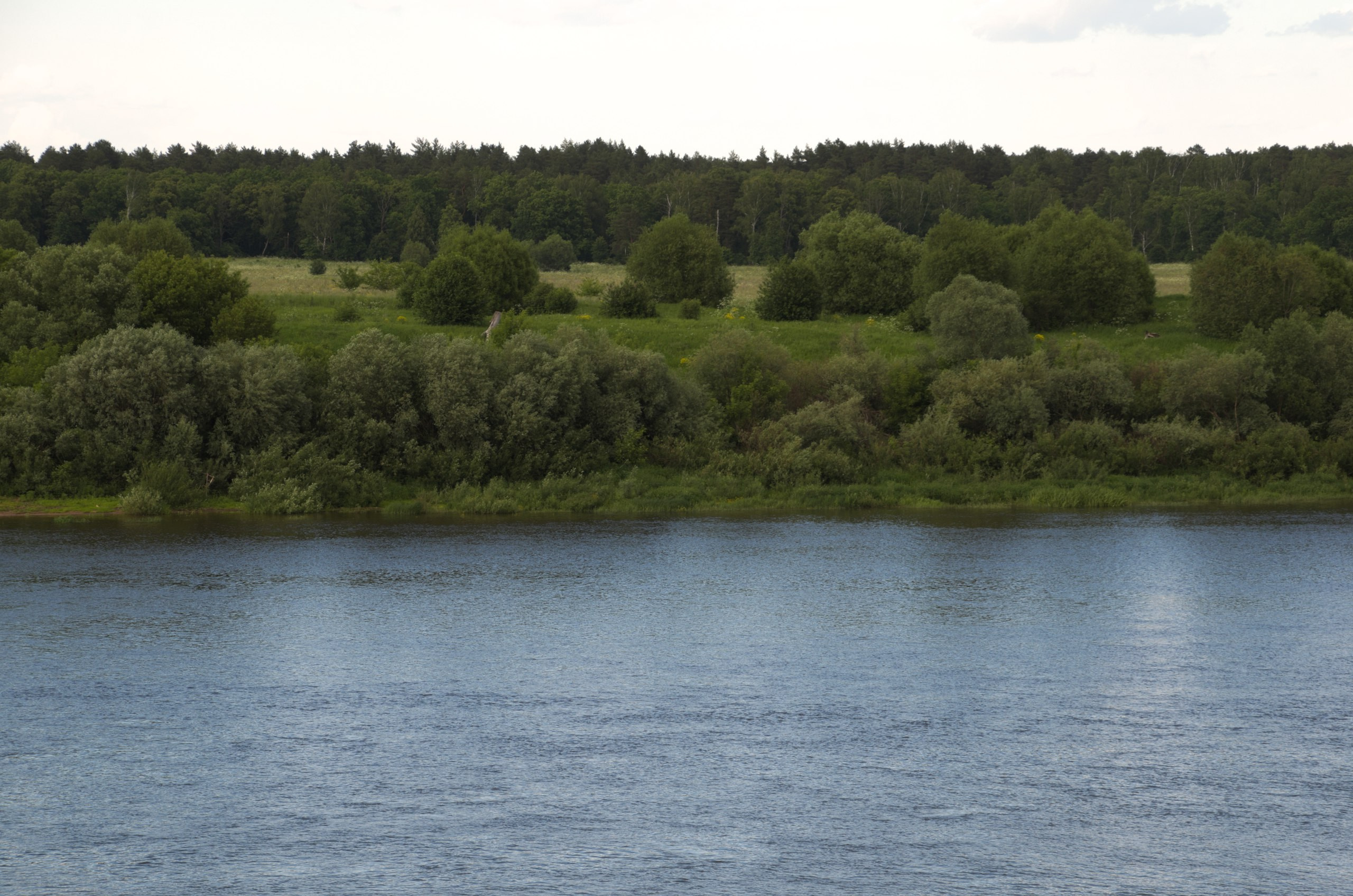 Таруса+Серпухов | 18.06.2017. Галерея Фантим