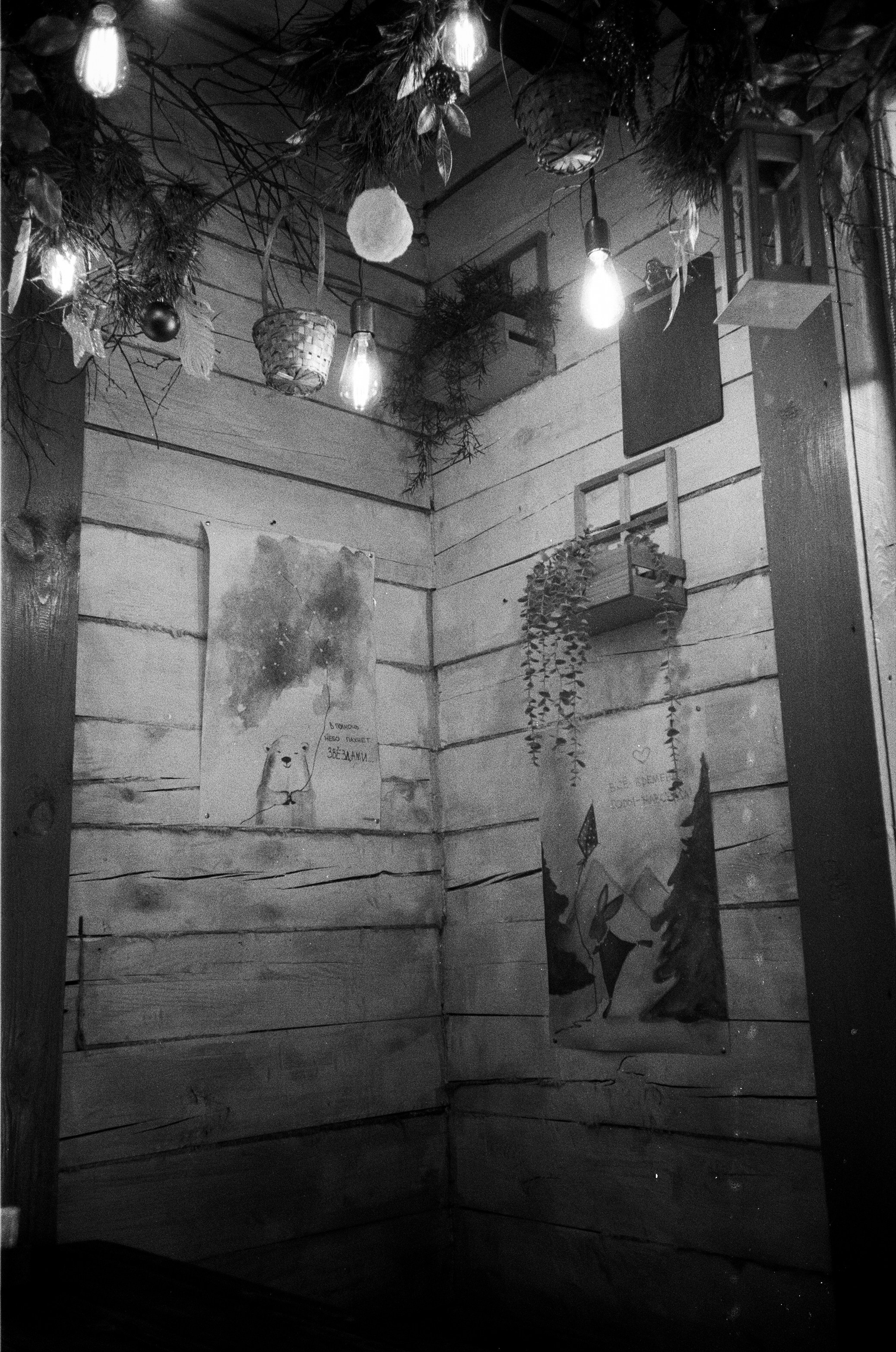 Olympus AF-10 SUPER / Ilford PAN 400 / Алтай, зима 2023 год