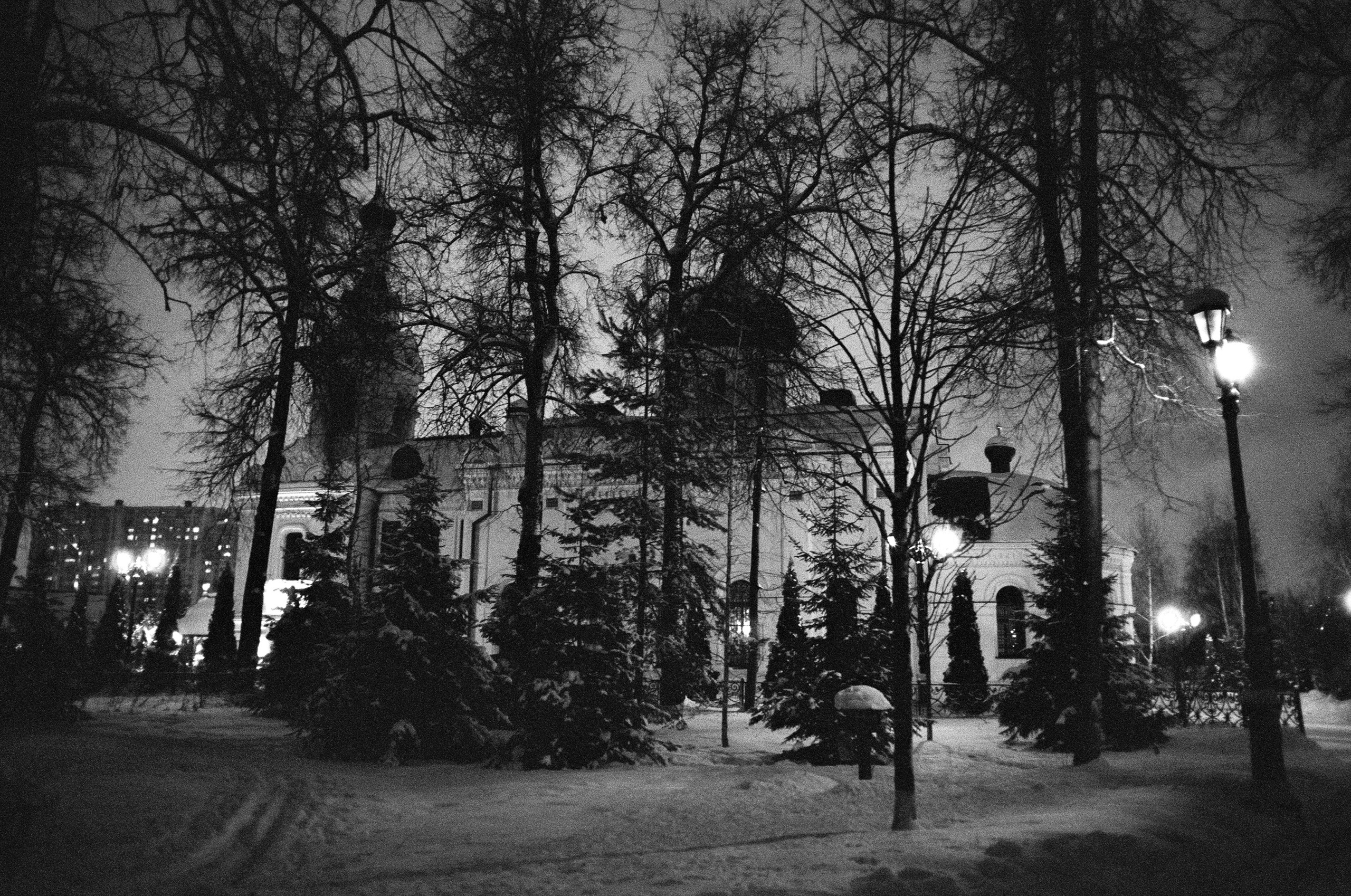 Voigtlander BESSA-T / Ultron 28 mm f/2 / Ilford PAN 400