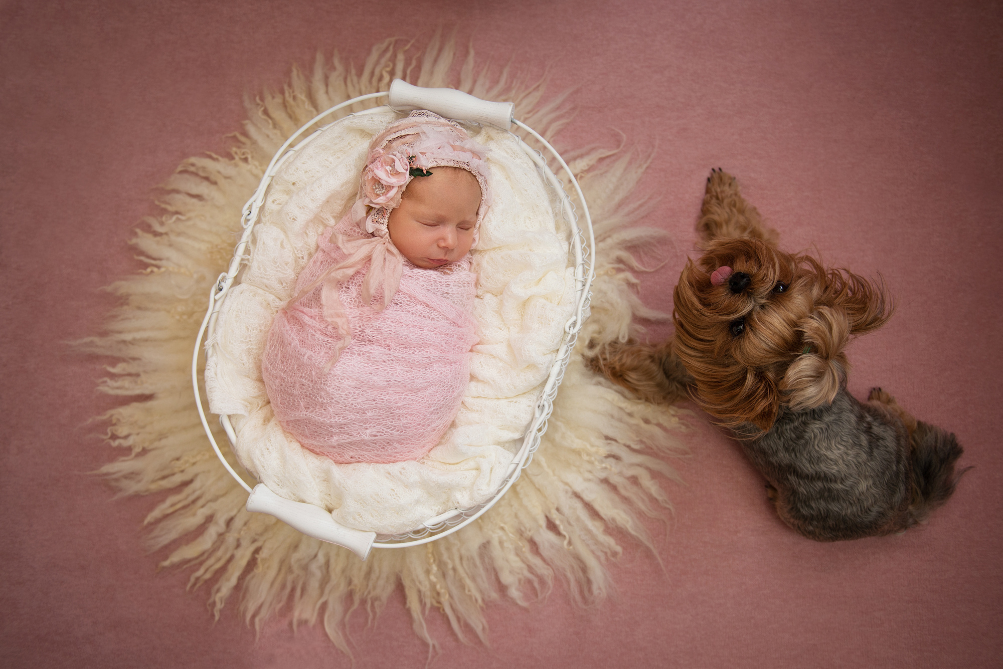 Фотосессия новорожденного. Фотограф новорожденных в Симферополе Елена Позднякова
