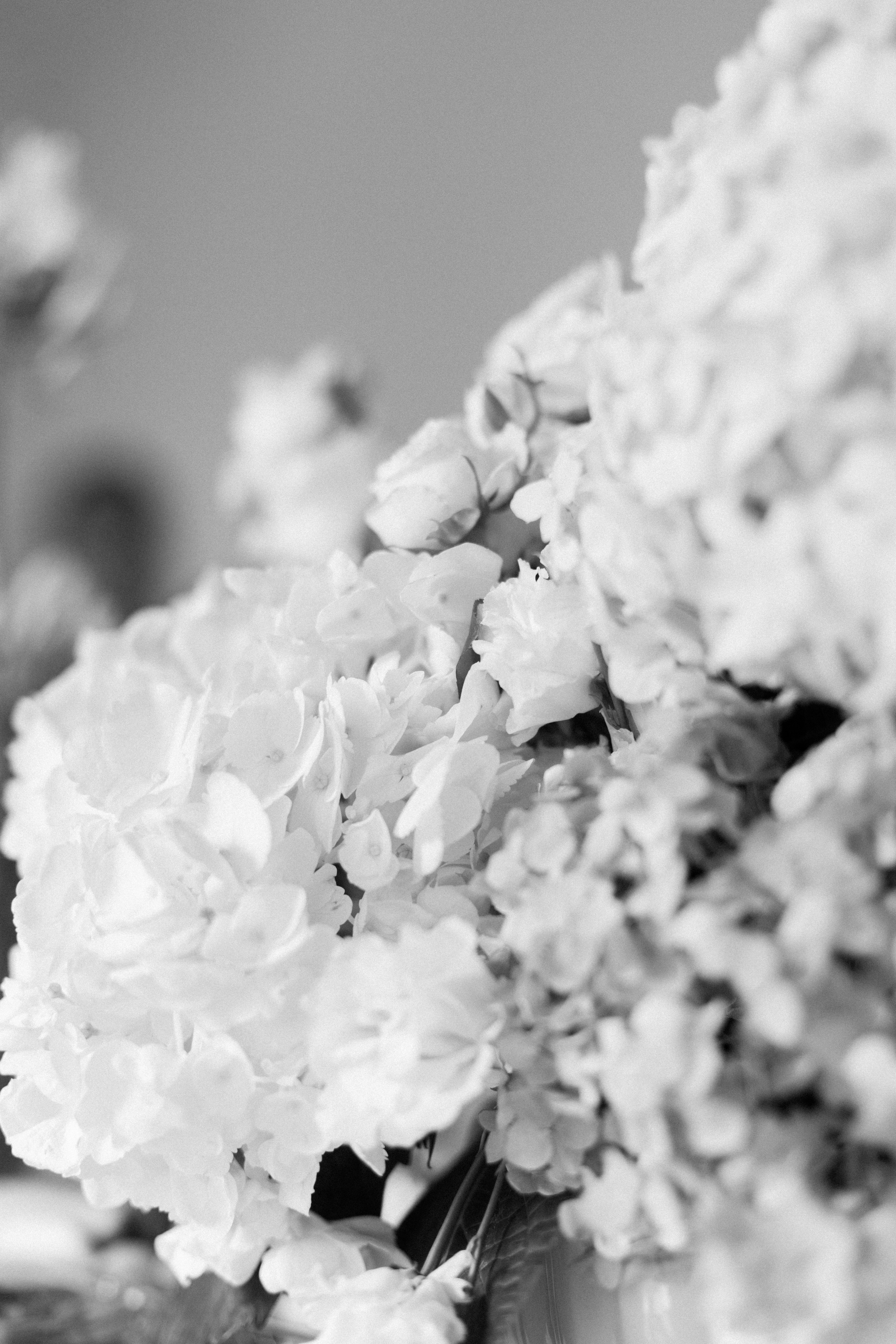 День Рождения Вики. Семейный и детский фотограф Юлия Шох