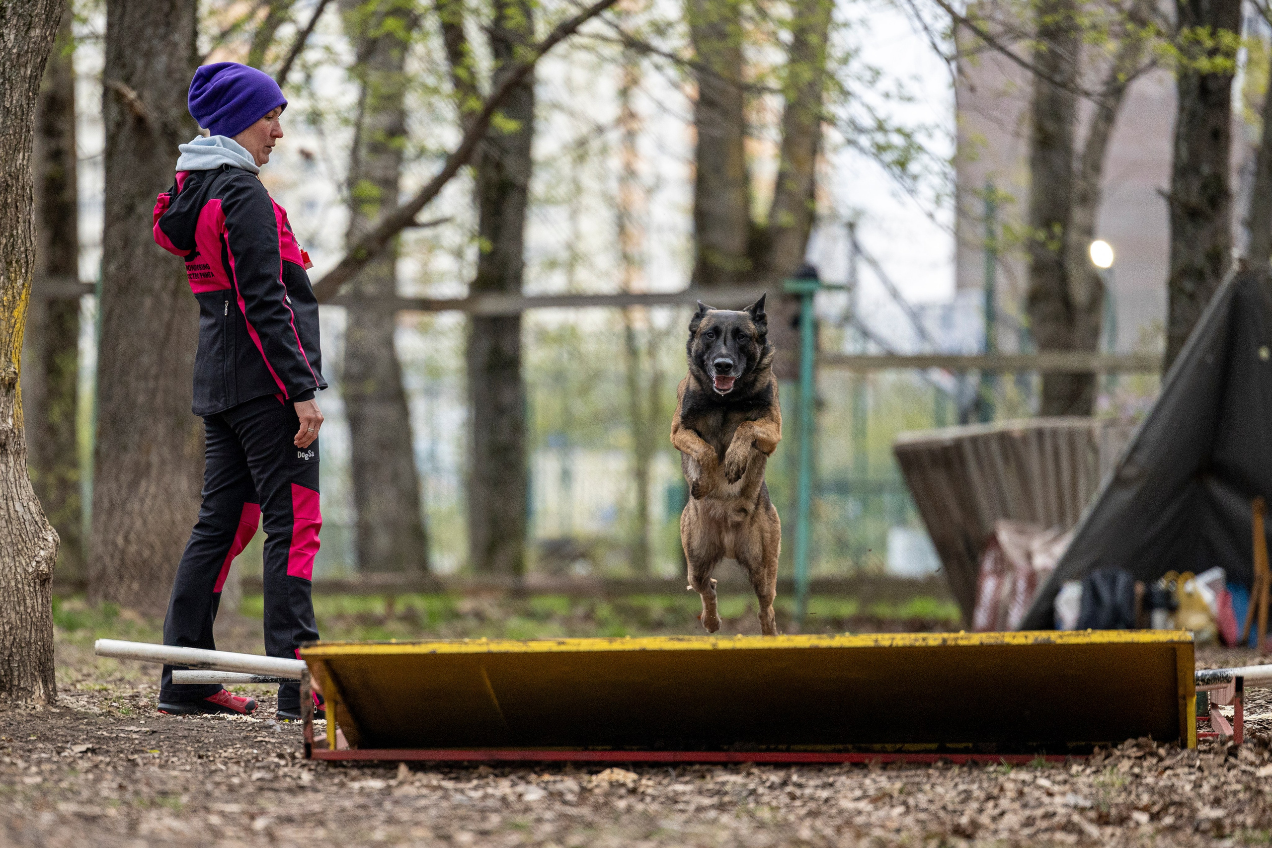 Квалификационные состязания по мондьорингу г. Вологда 11.05.24. Фотограф-анималист Анна Маринич