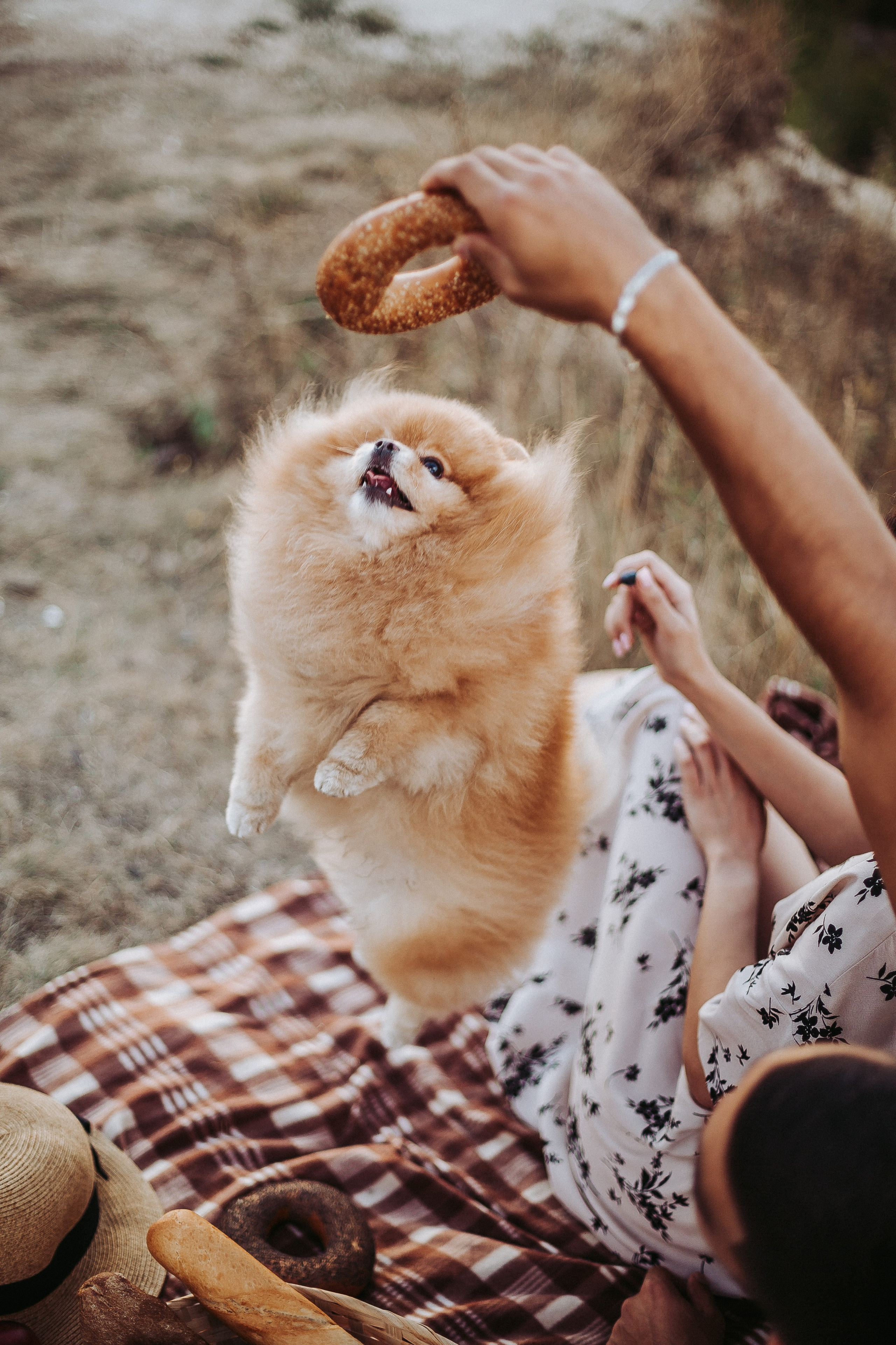 Lovestory М|А. Свадебное фото свадебное видео фотограф видеограф Липецк Воронеж
