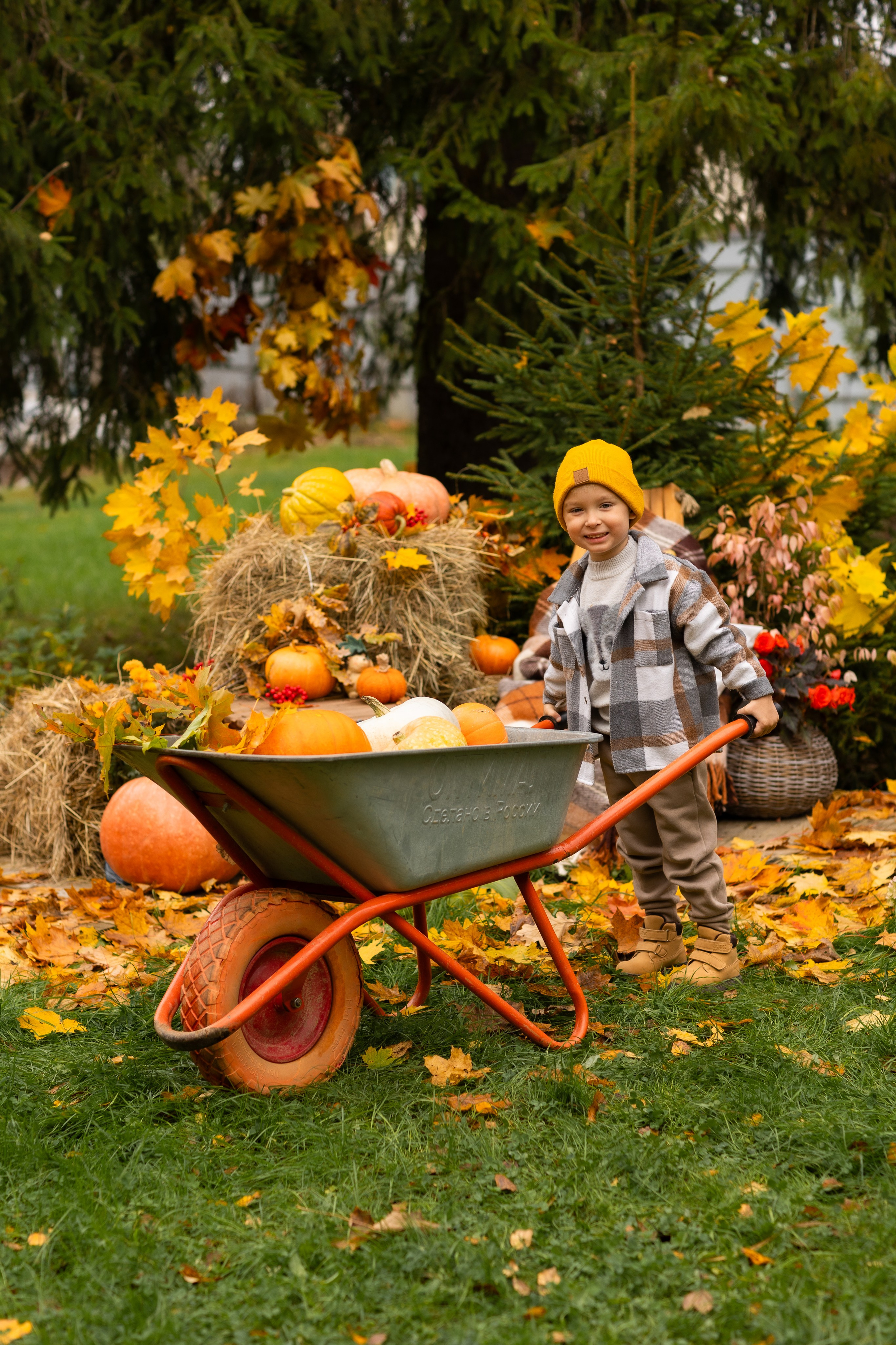 Осень. Профессиональный ретушер Москва и весь мир — Елена Тимченко