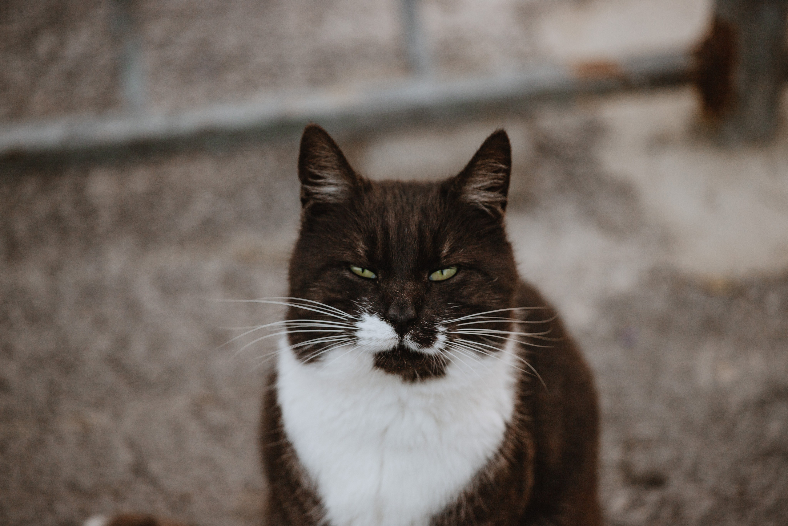 Любовь в Керчи. Фотограф Алиса Субботина