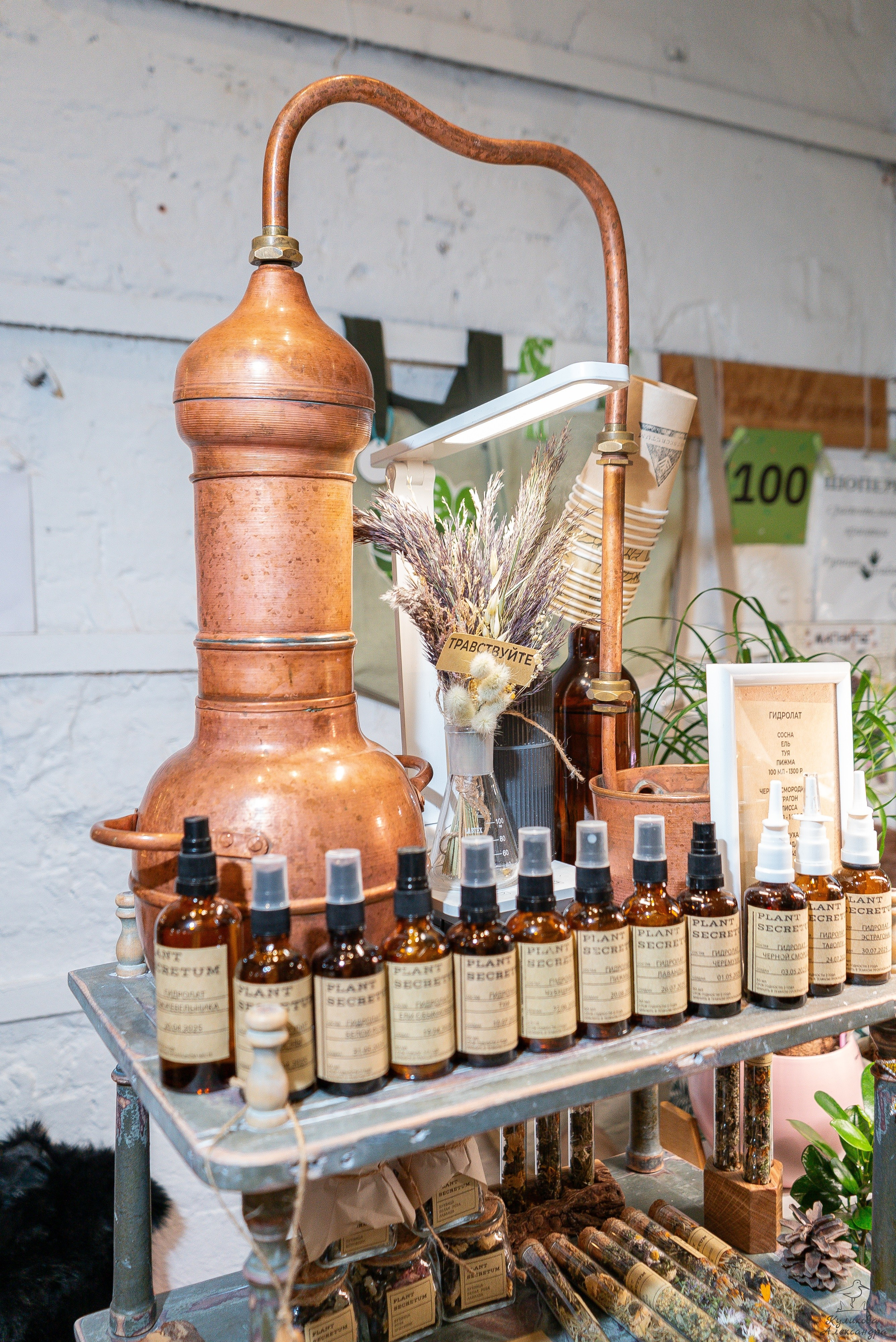 Гроубокс Артплей апрель. Александра Куликова фотограф, Москва