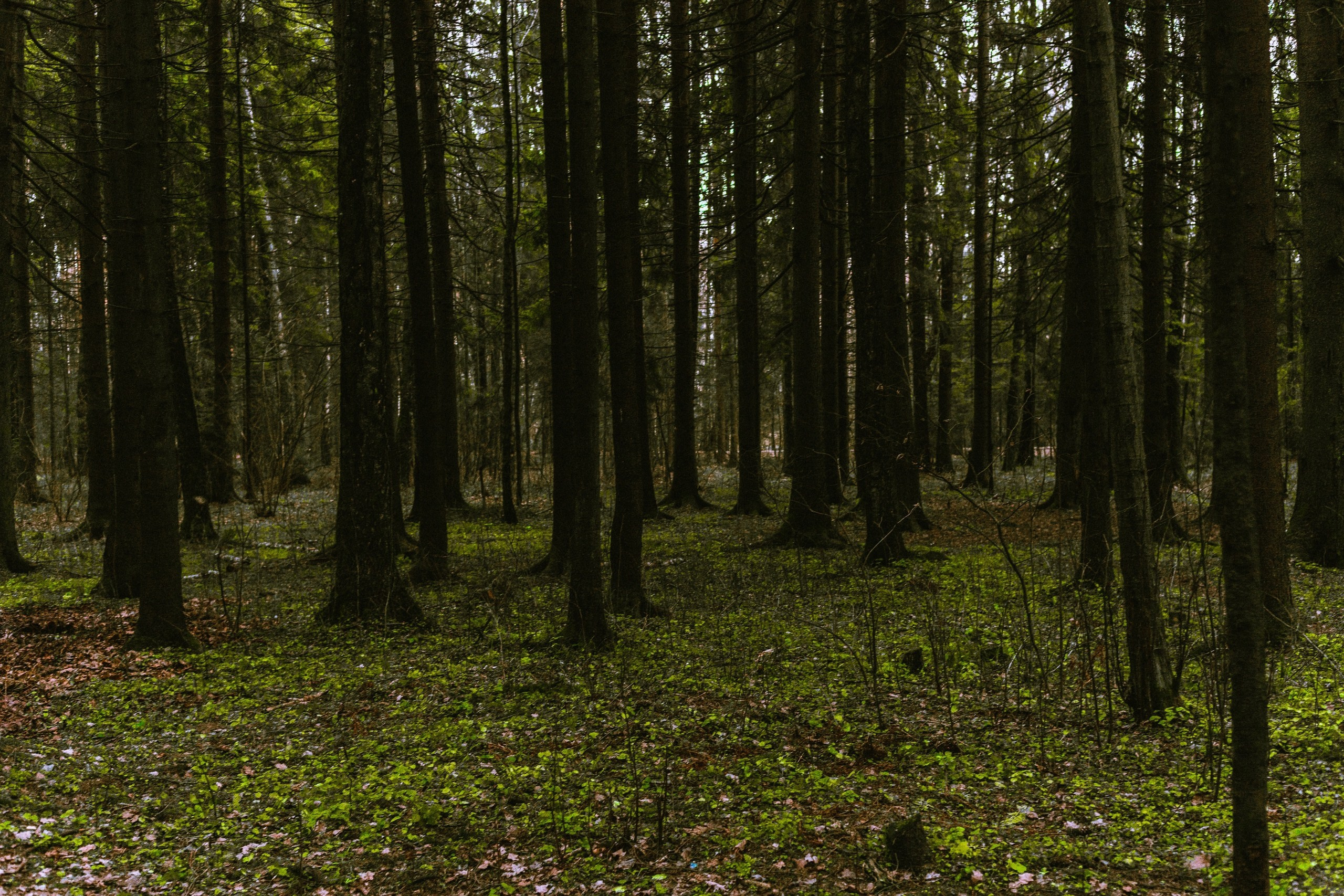 Улица горизонтальная. Jorgis — фотограф в Хургаде / обучение фотографии