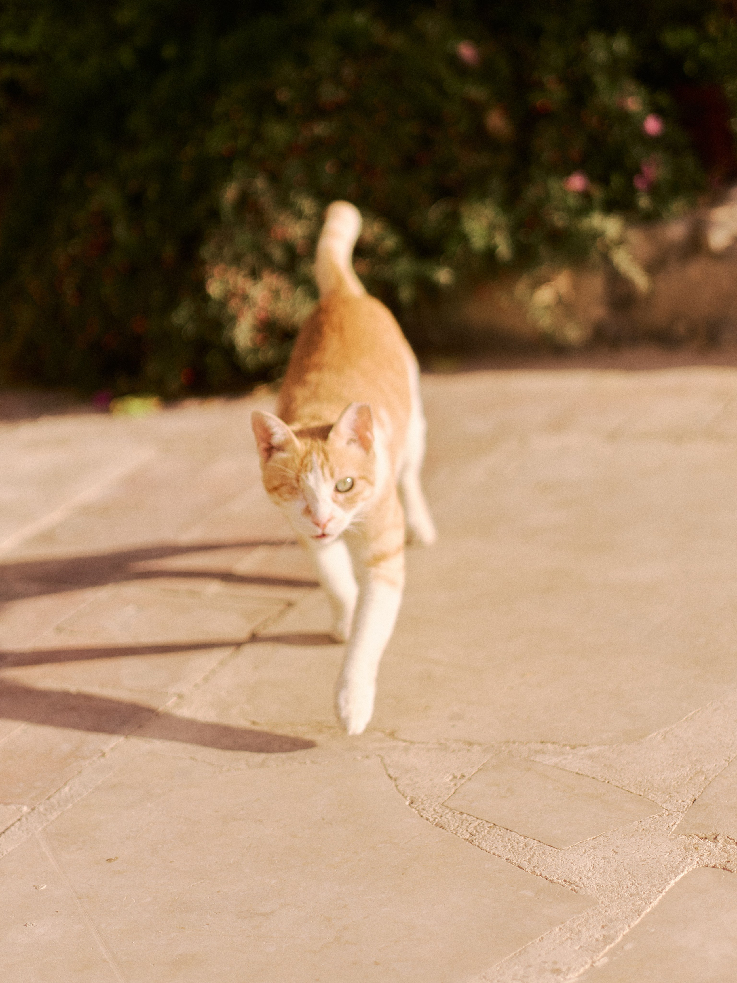 Другое 3. Jorgis Talè — photographer, kind person, teacher of arts and other mag